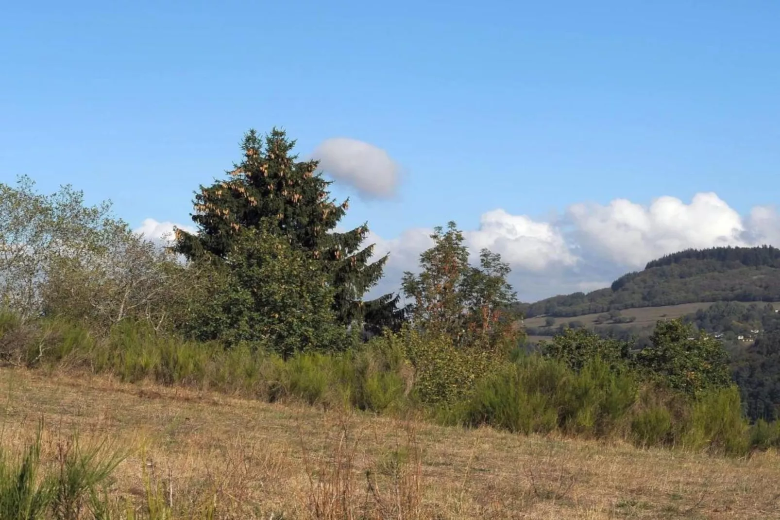 Eifelpark 10-Areas within 5km in summer
