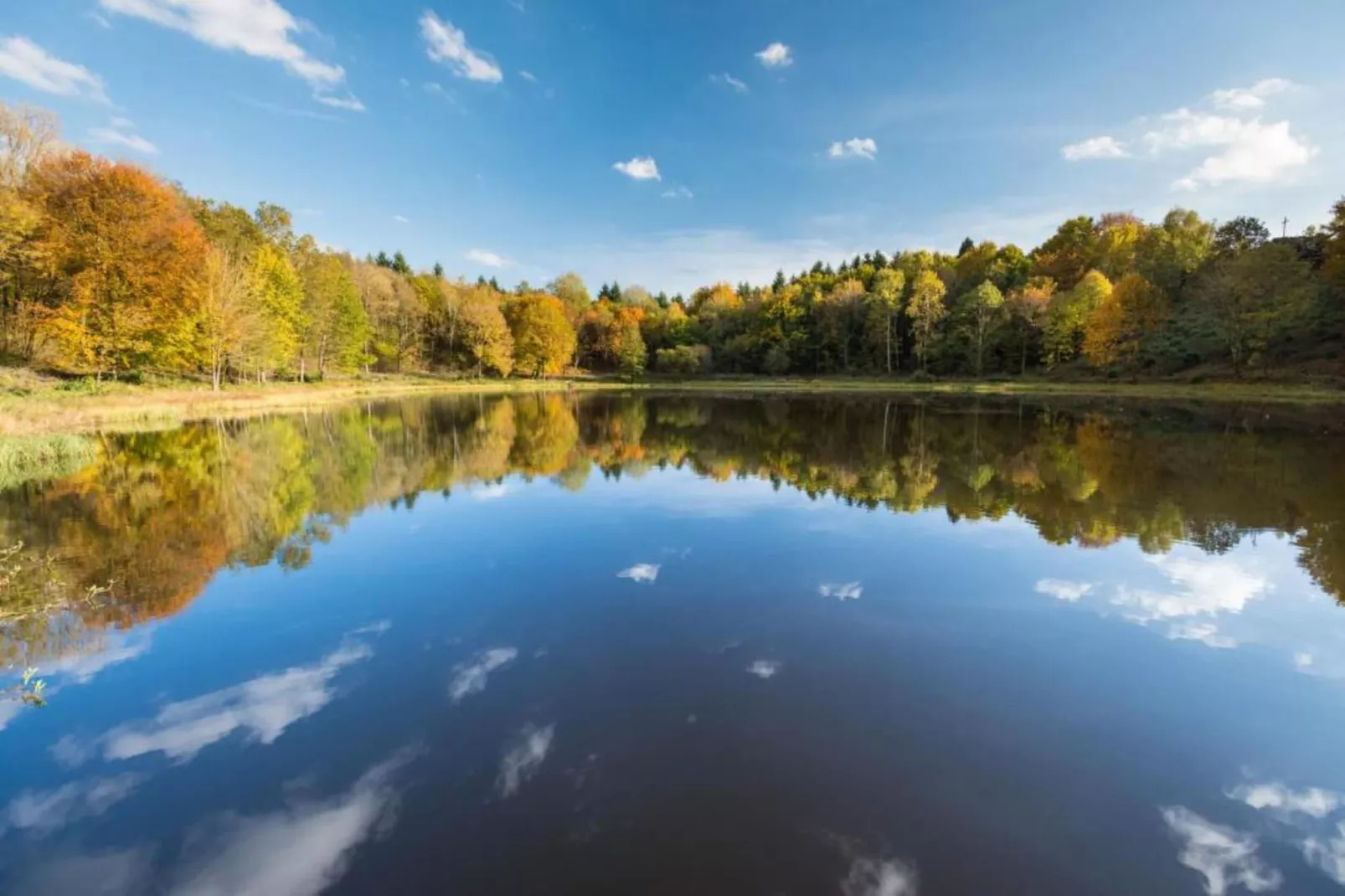Ferienhaus Waldblick-Zones été à 20 km