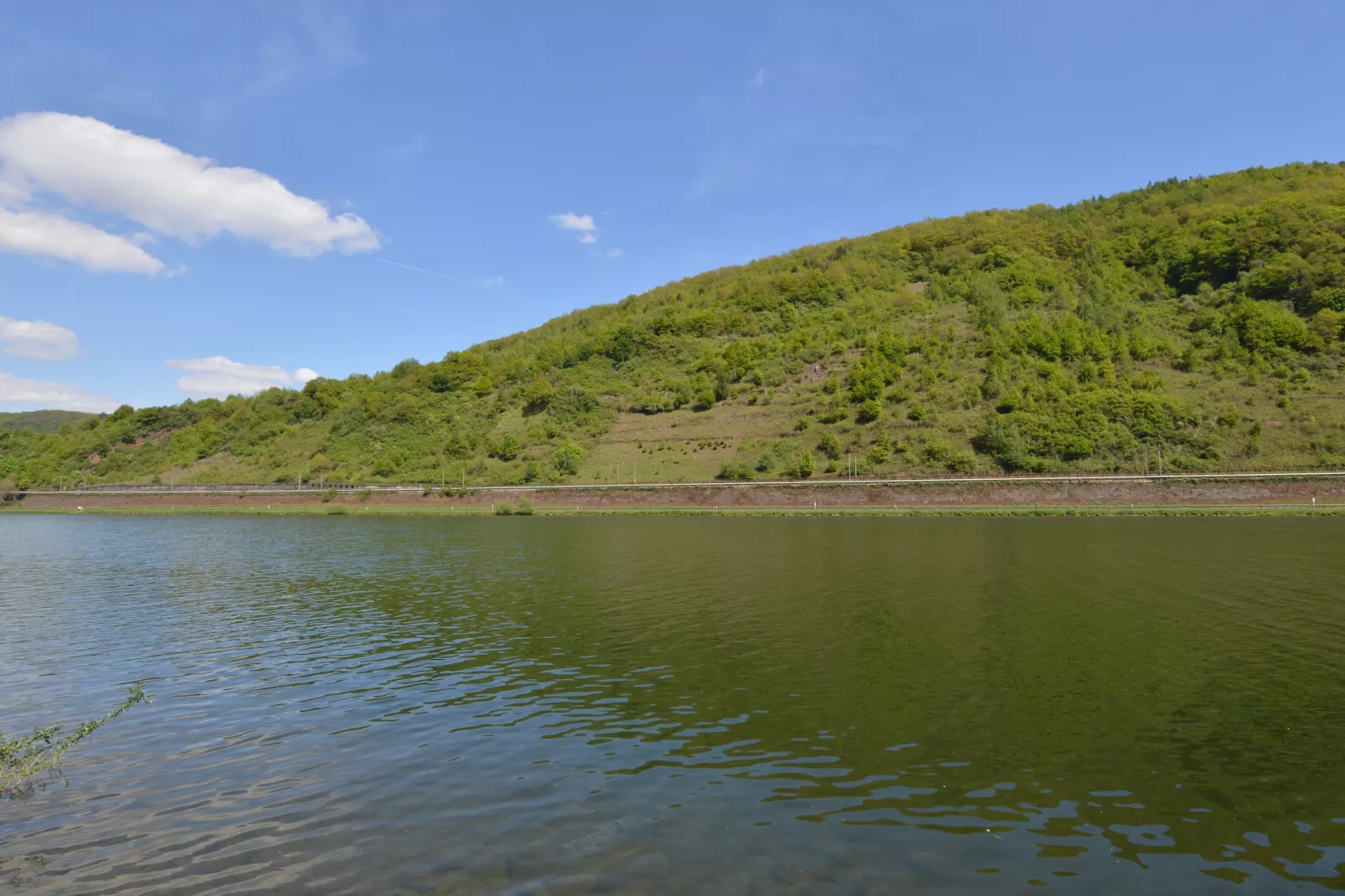 Weingut Kirch-Areas within 1km in summer