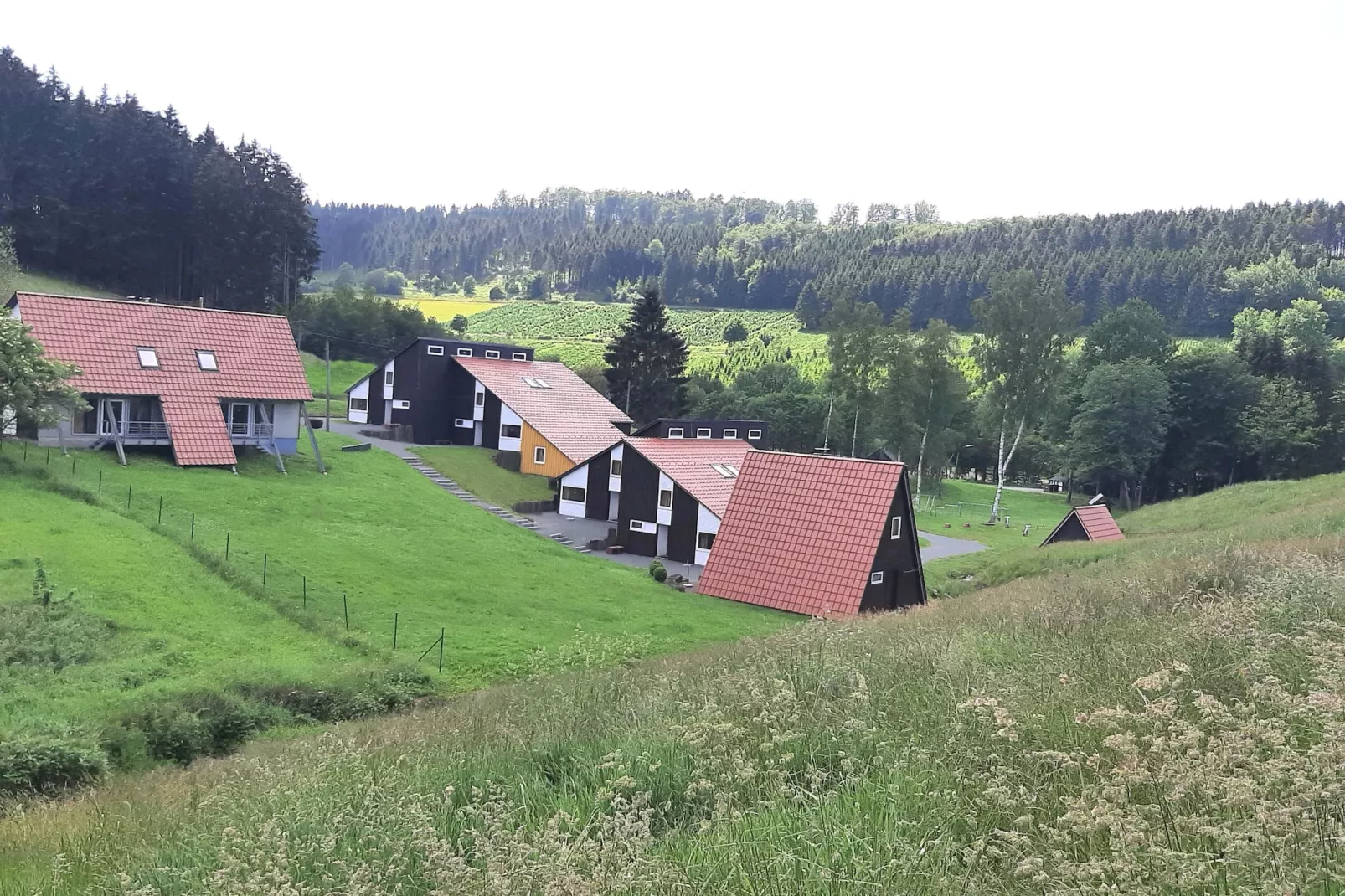 Dachsbau-Exterior in summer