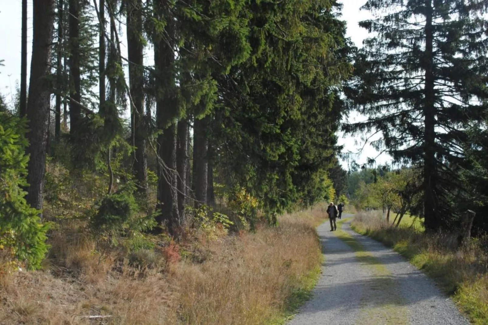 Sauerland-Gebiete Sommer 5 km