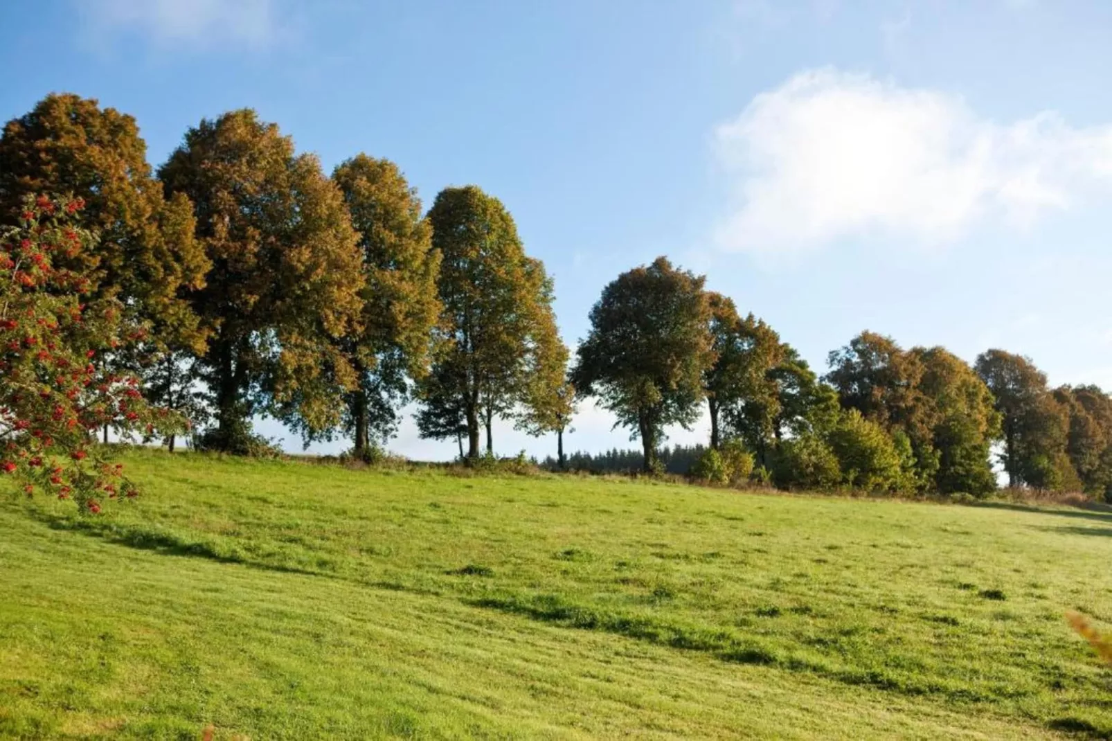 Am Astenberg-Areas within 5km in summer