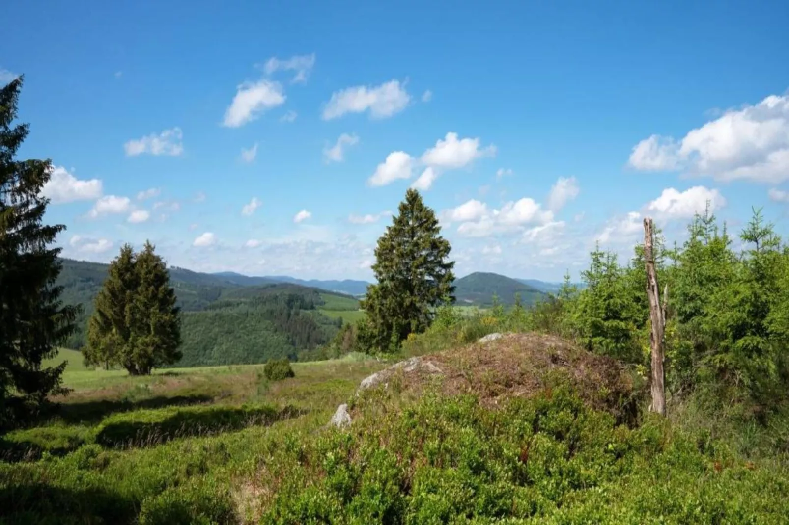 Medebach-Areas within 5km in summer