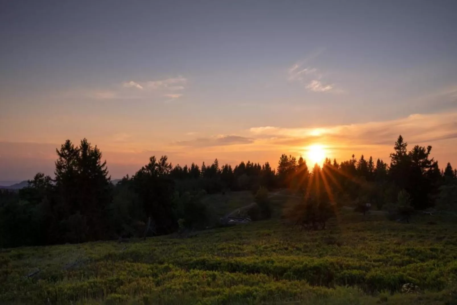 Blokhuis Winterberg Tulp-Areas within 5km in summer