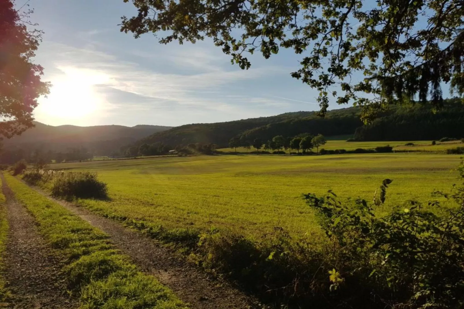 Medebach-Gebiete Sommer 5 km