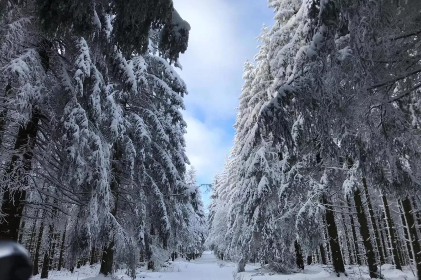Küstelberg-Gebiet Winter 20 km