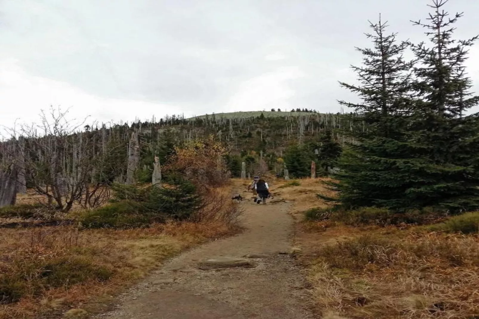 Feriendorf Waldbrunn 1-Gebiete Sommer 20 km