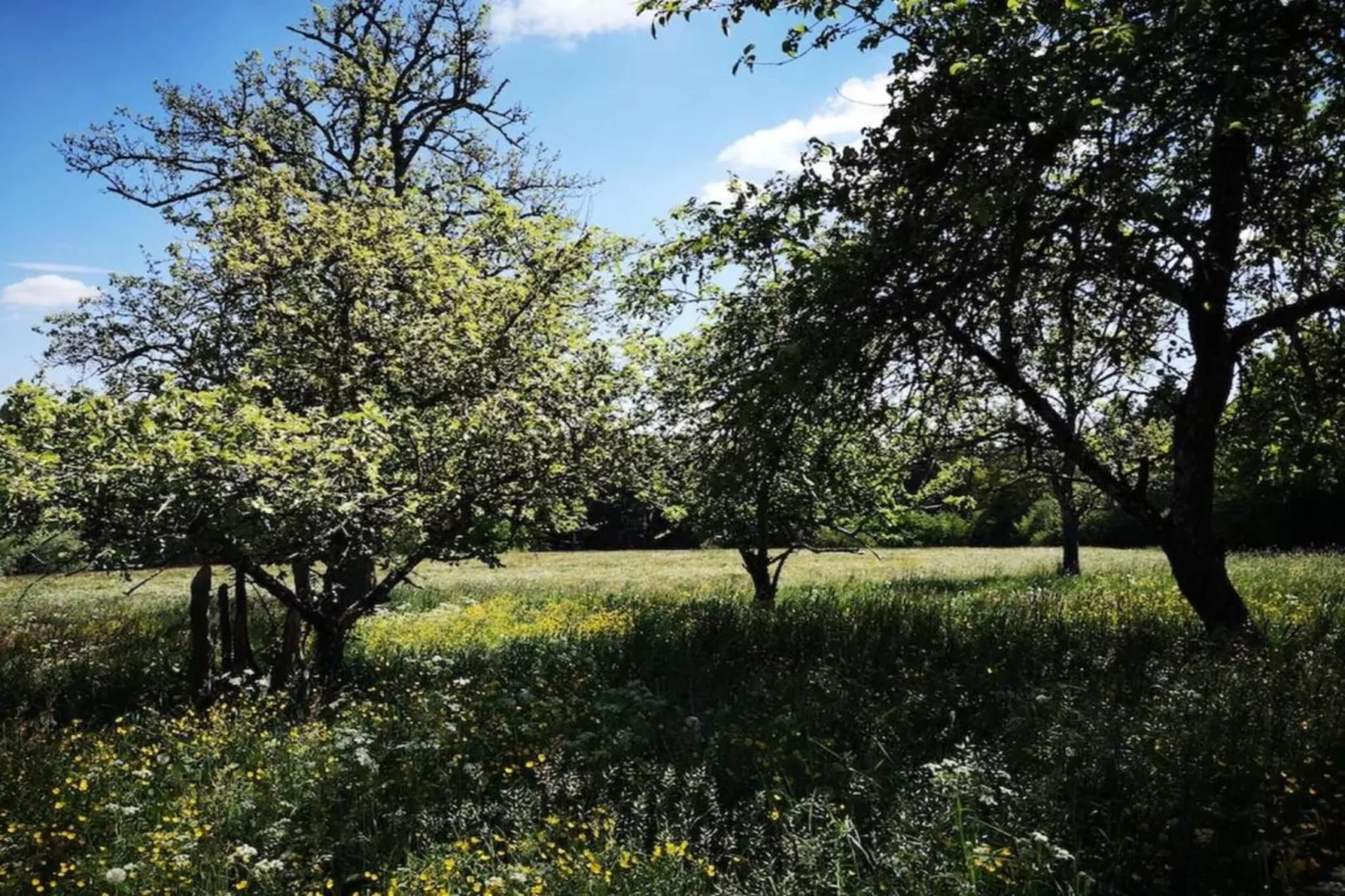 Marianne-Areas within 20km in summer