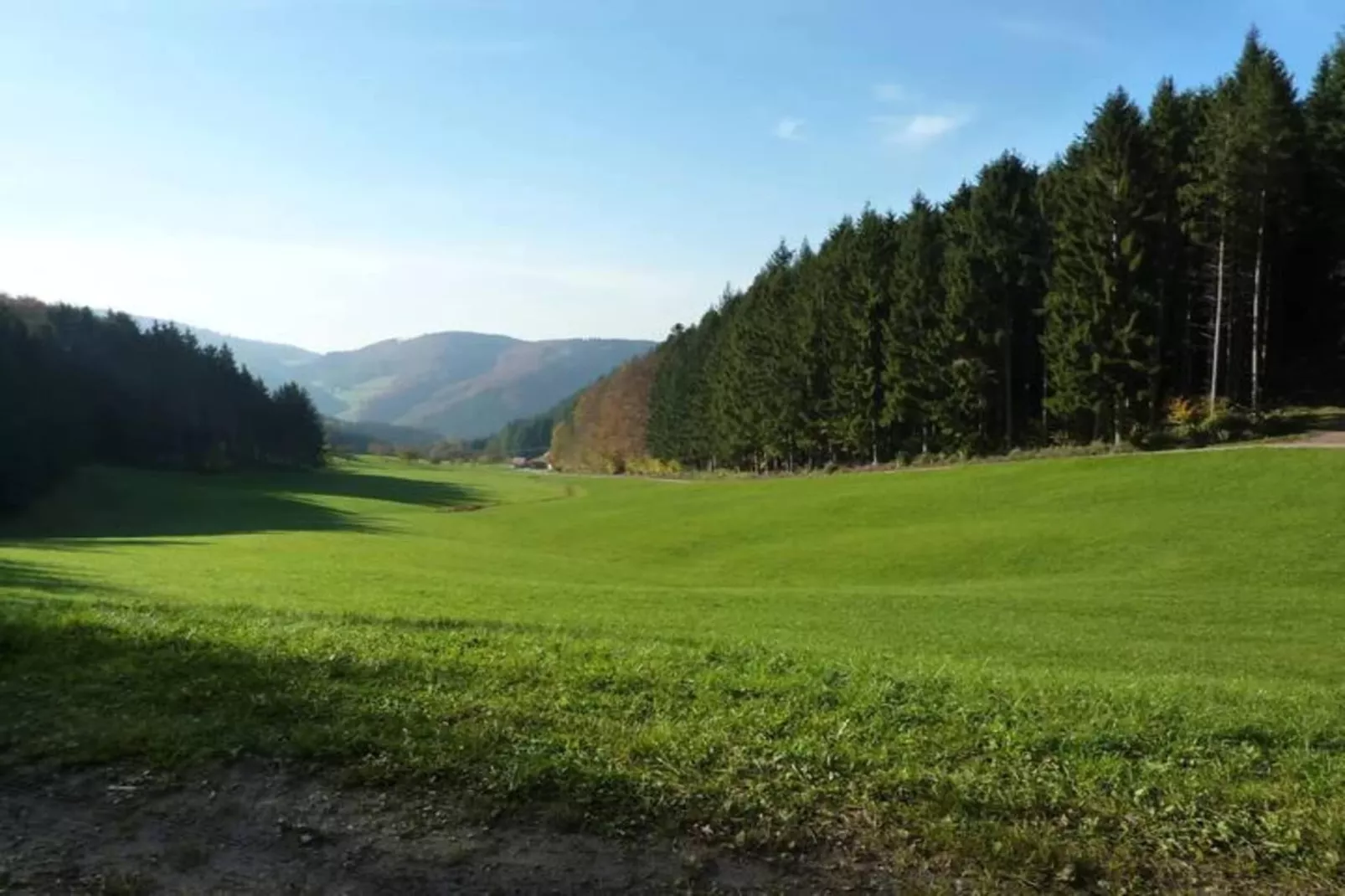 Am Stulzenhof-Gebiete Sommer 20 km