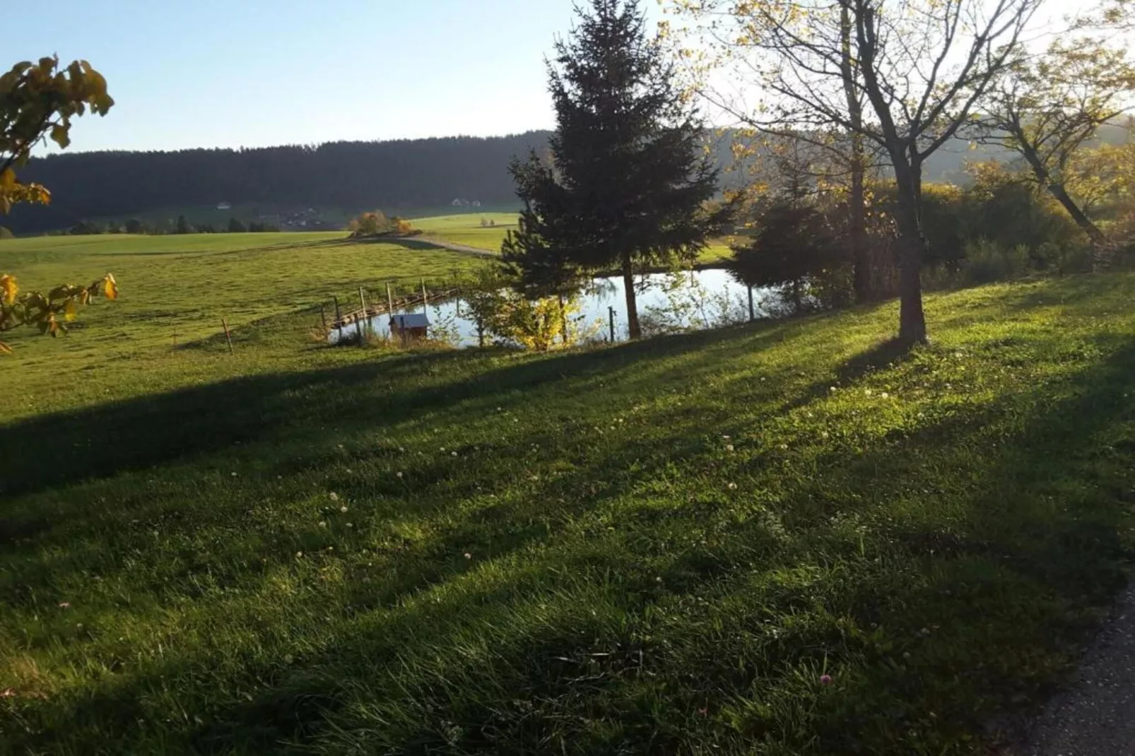 Panoramablick-Areas within 20km in summer
