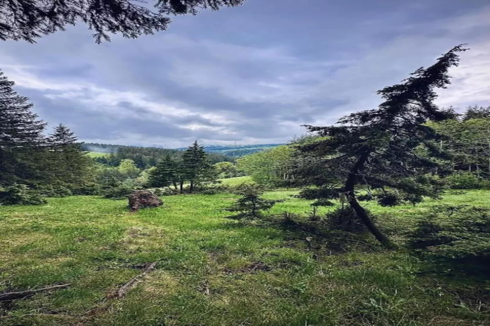 Gütenbach-Areas within 20km in summer