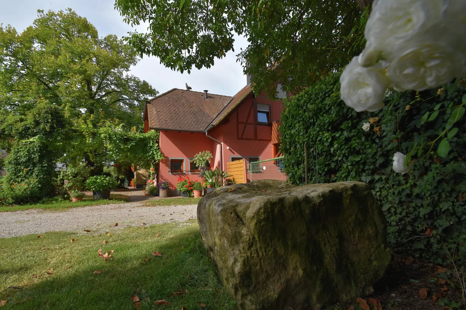 Im Rheintal-Exterior in summer