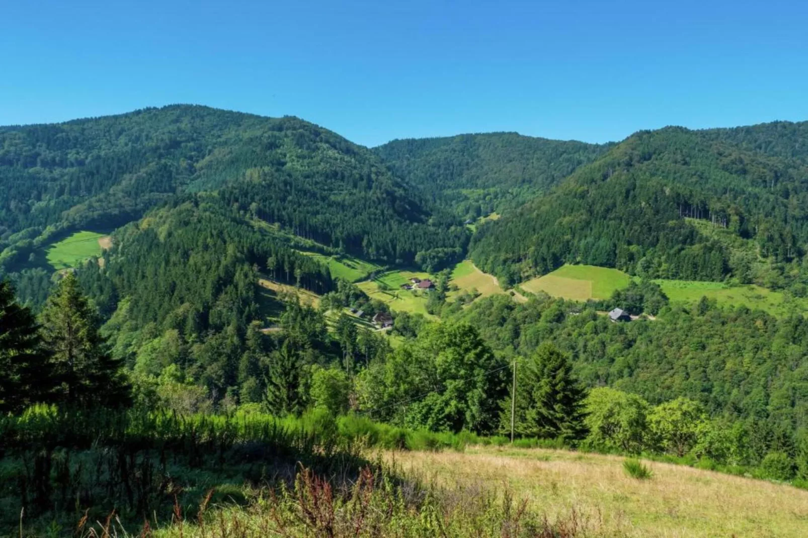 Neukirch-Areas within 20km in summer