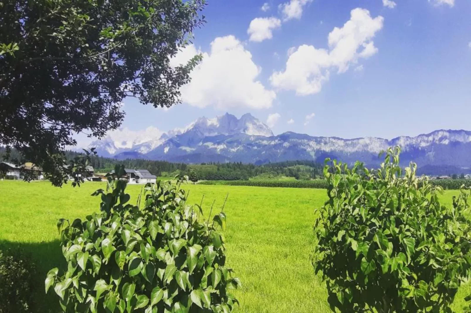 Marzell-Areas within 20km in summer
