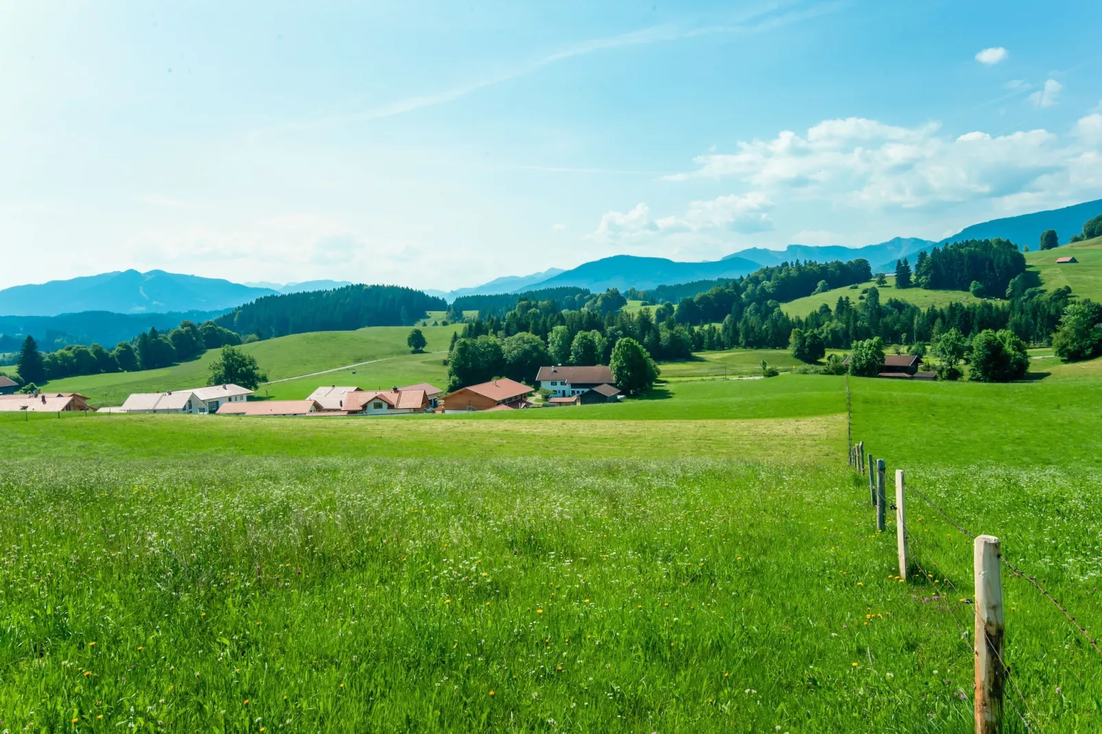 Oachkatzl-Areas within 5km in summer
