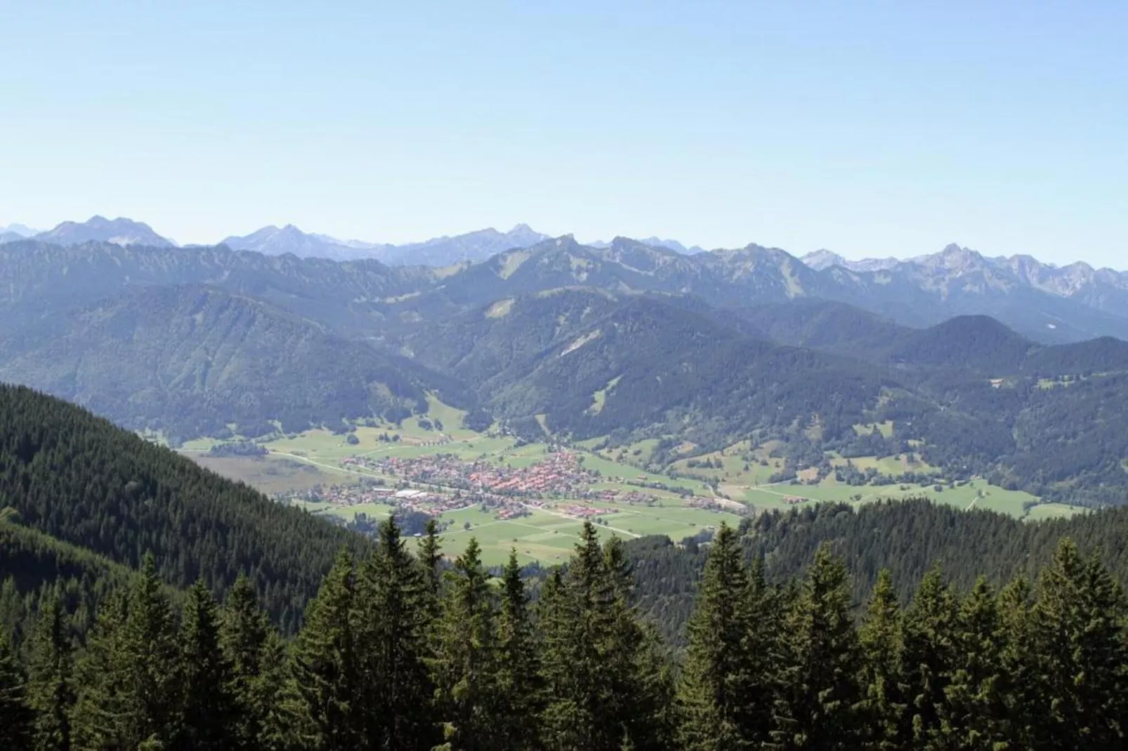 Sonnenblume-Areas within 20km in summer