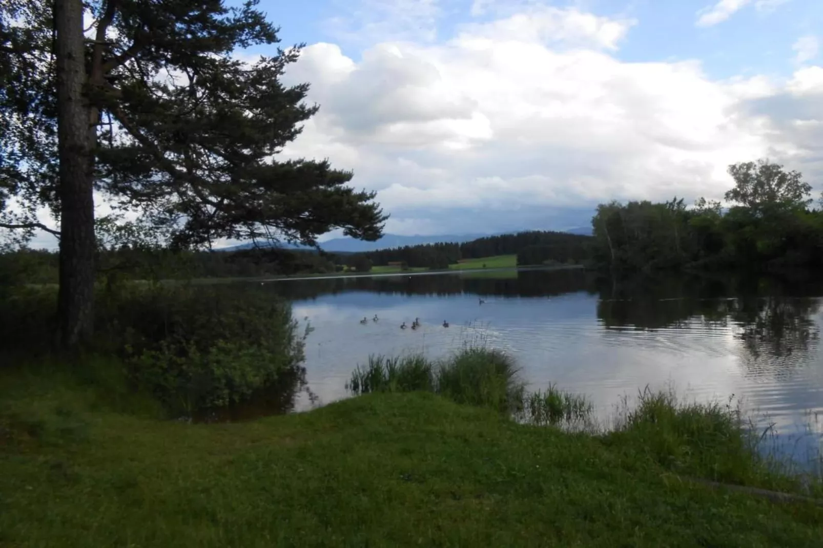 Im Pfaffenwinkel-Zones été à 20 km