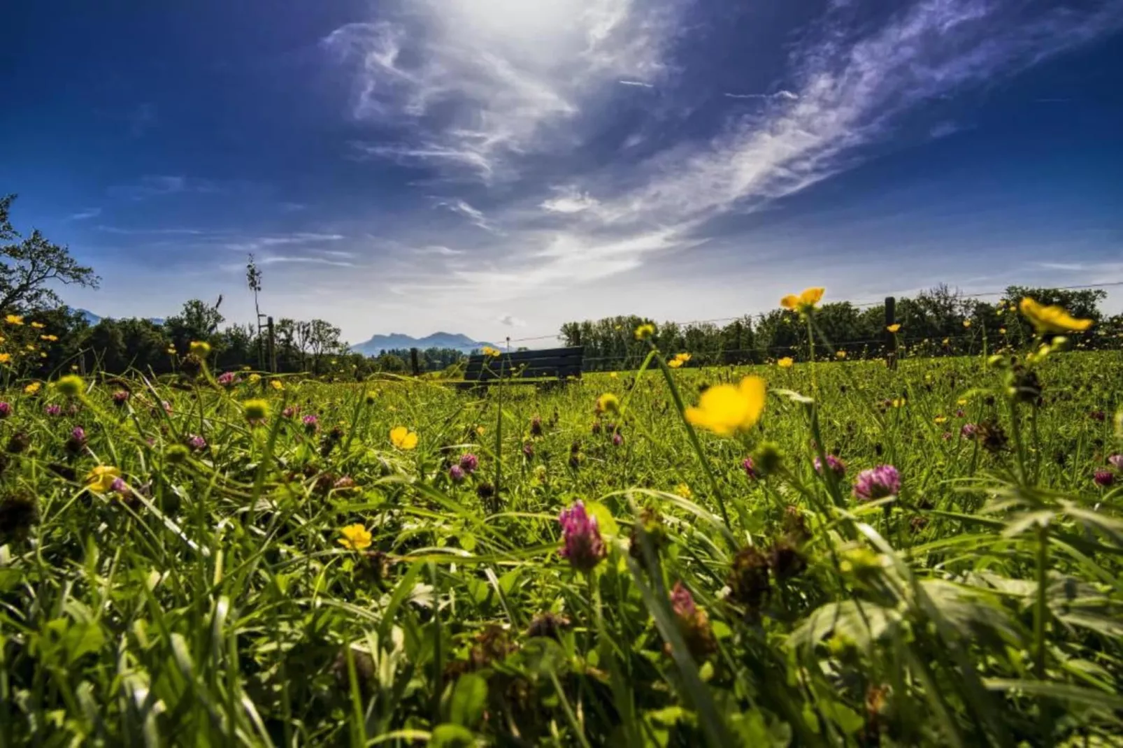 Ferien im Oberallgäu-Areas within 20km in summer