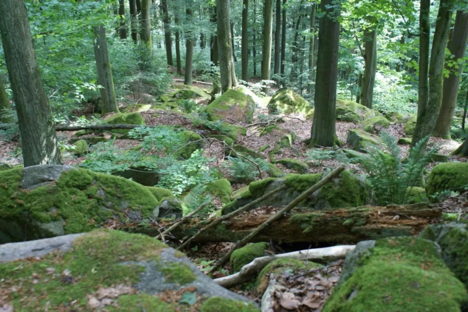 Morgensonne-Areas within 20km in summer