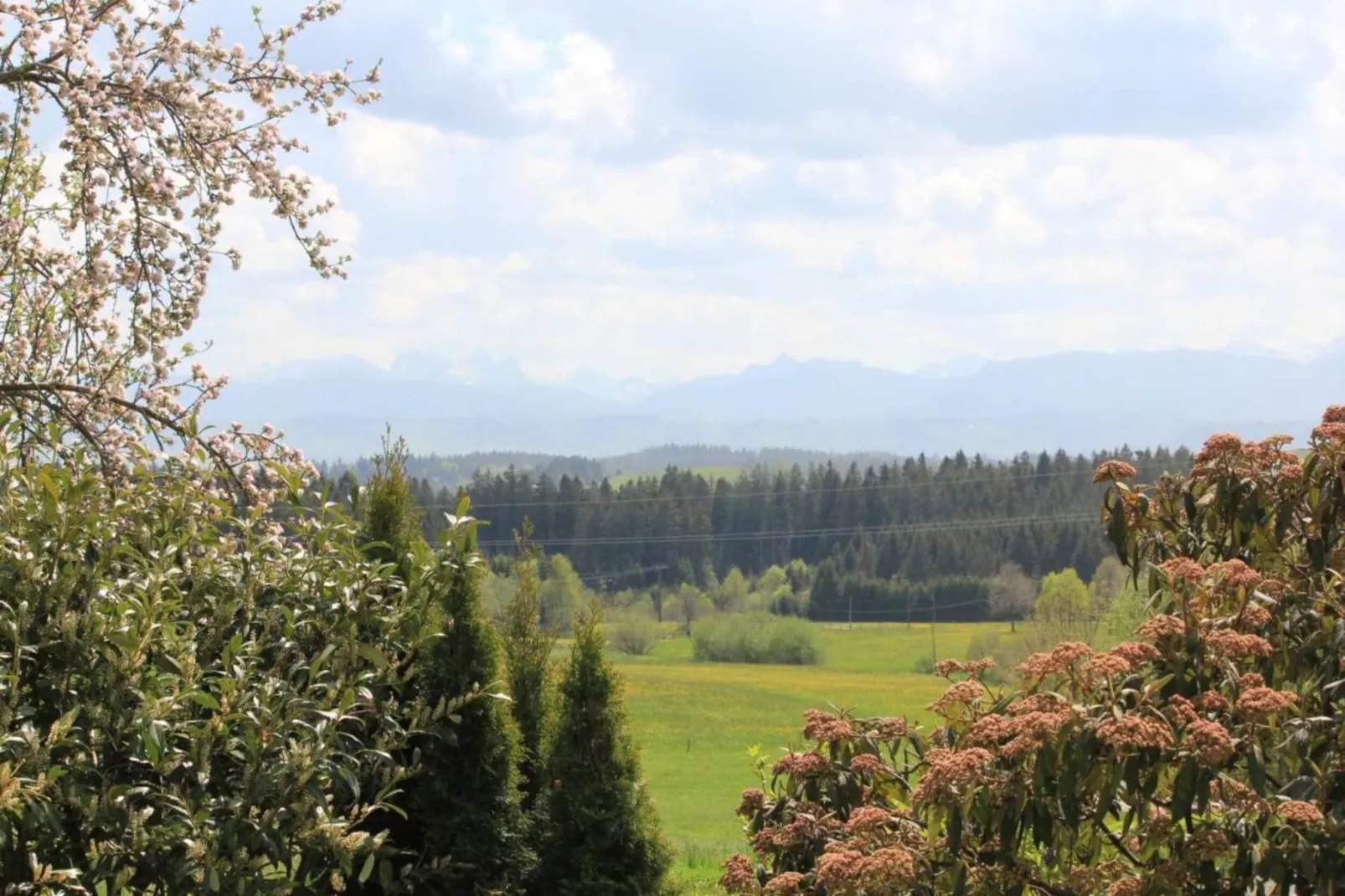 Bayerischer Wald-Areas within 5km in summer