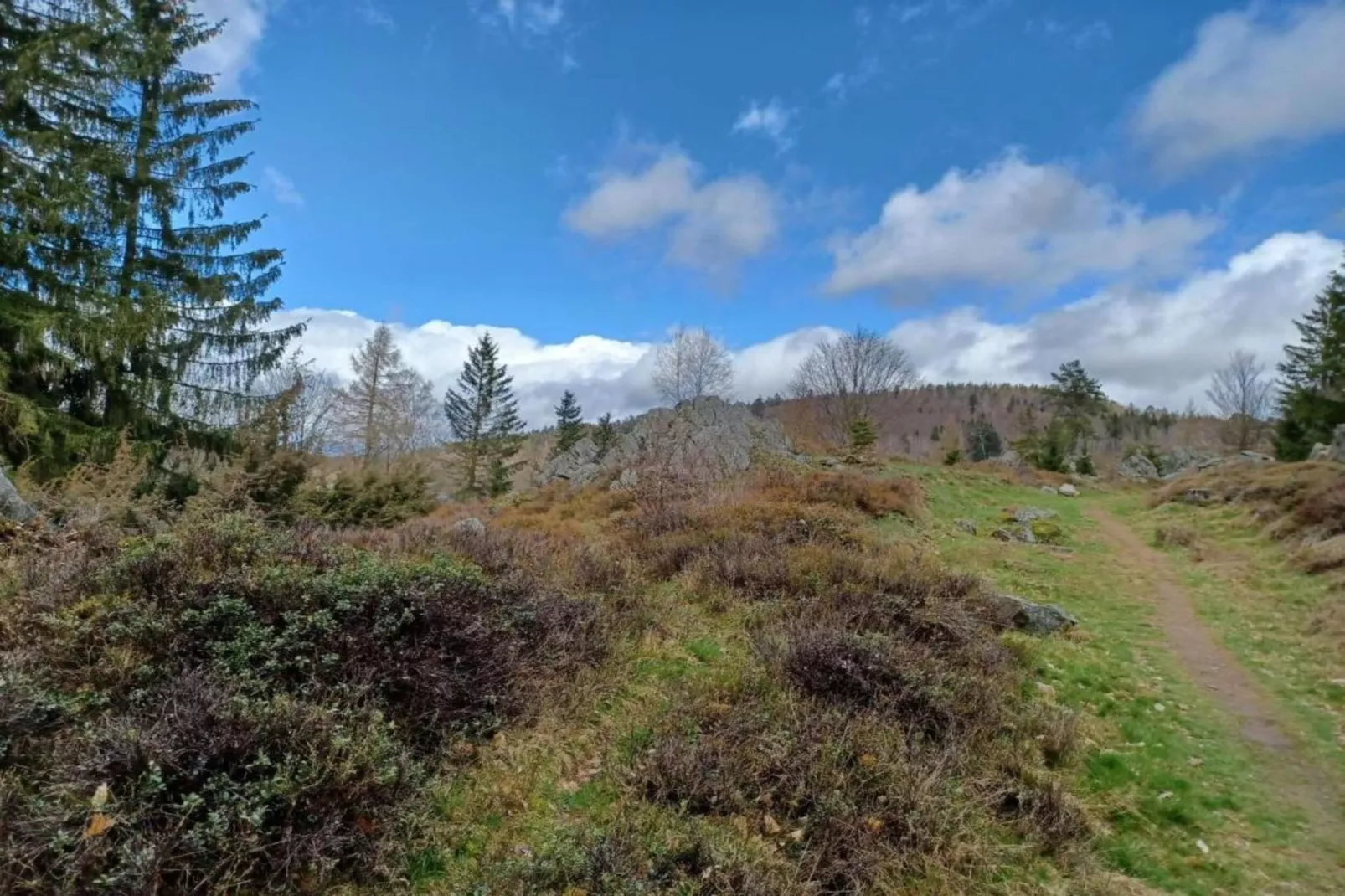 Bayerischer Wald-Zones été à 20 km