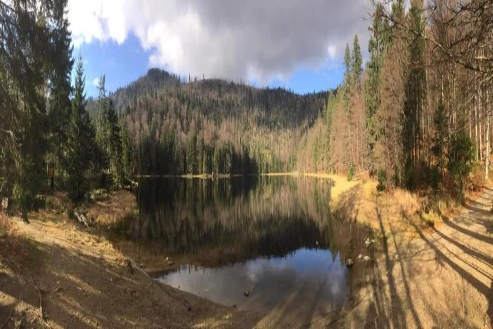 Im Bayerischen Wald-Areas within 20km in summer
