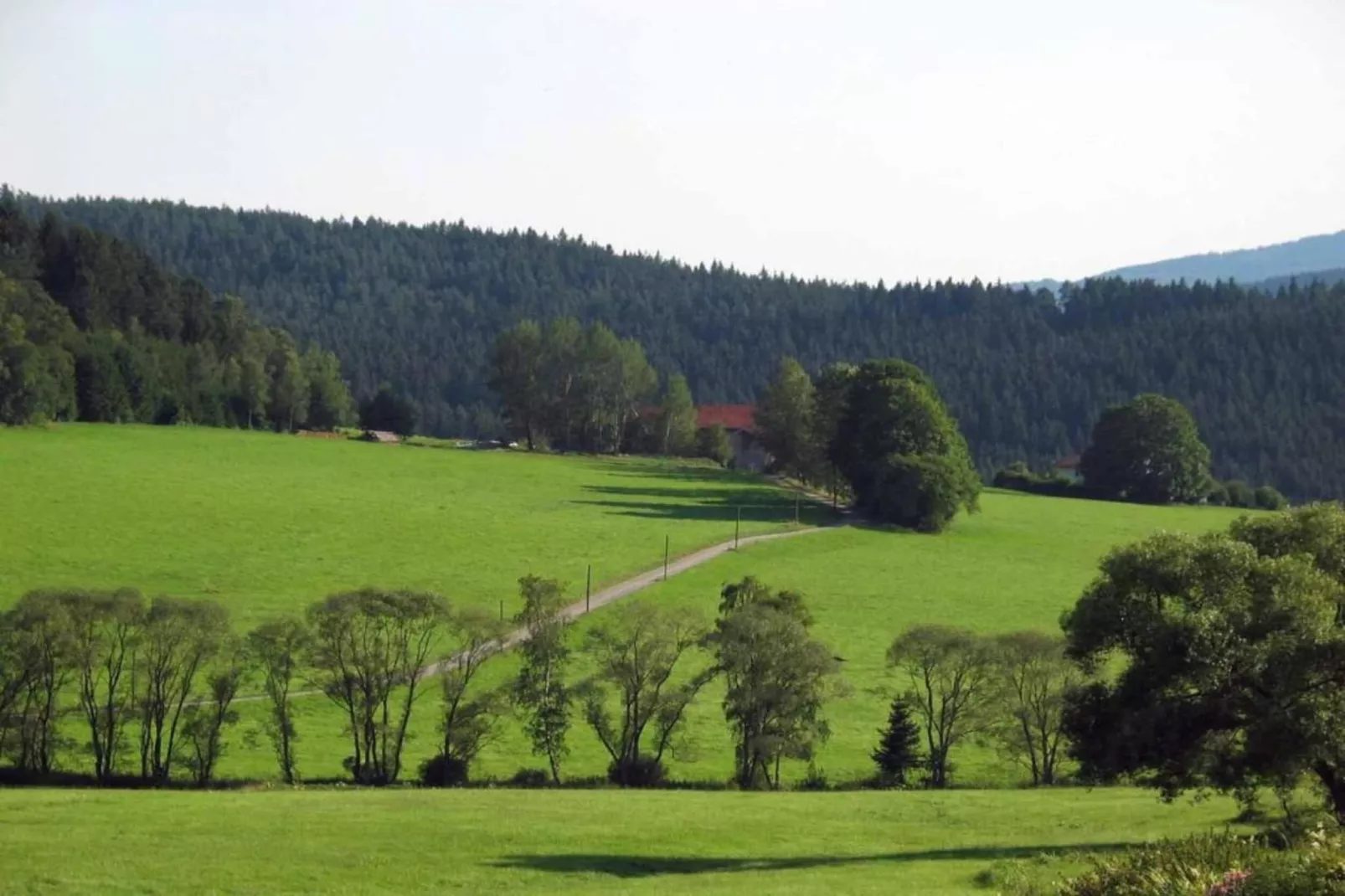 Waldferien-Areas within 20km in summer
