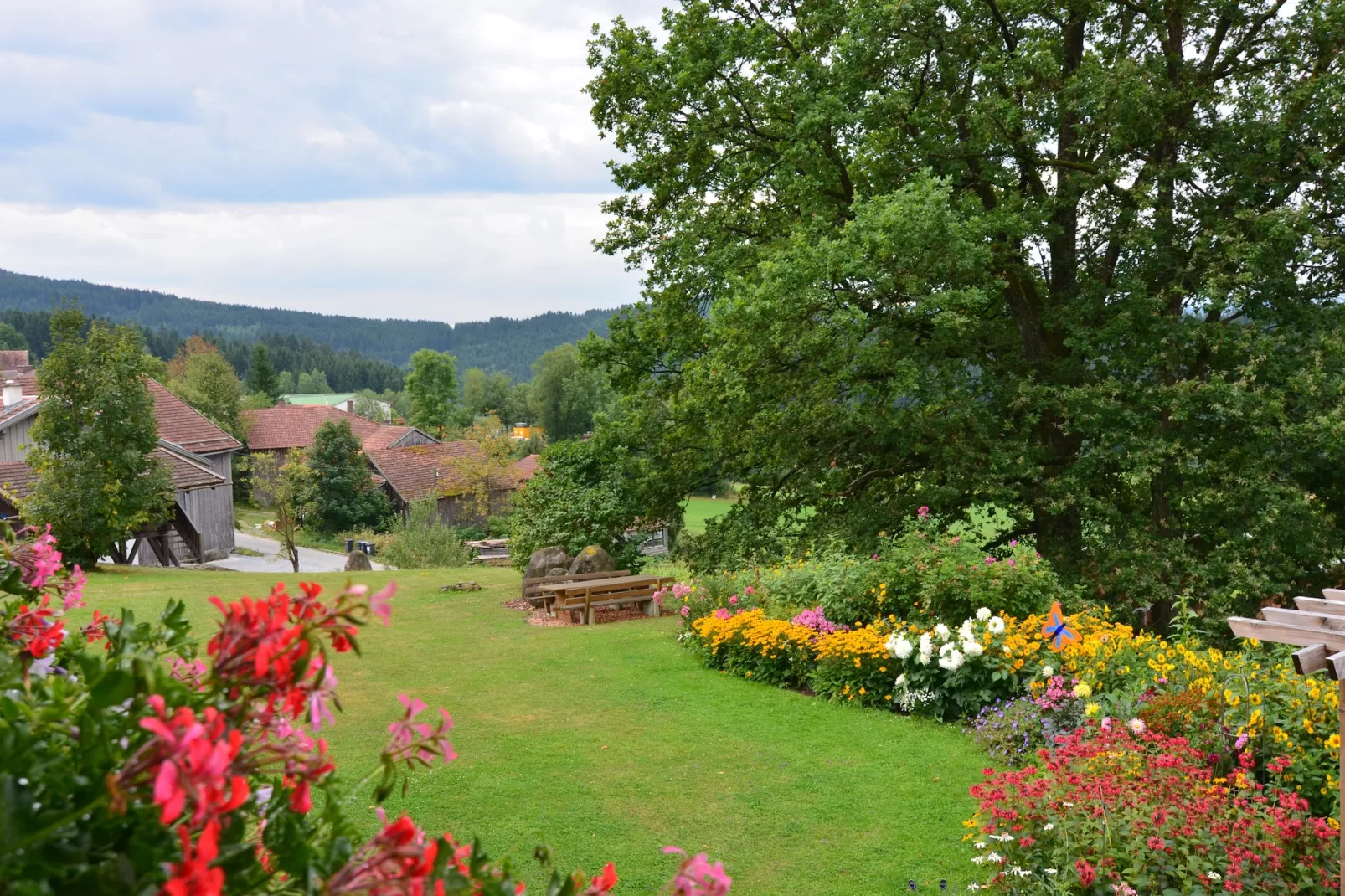 Vergissmeinnicht-Gardens in summer