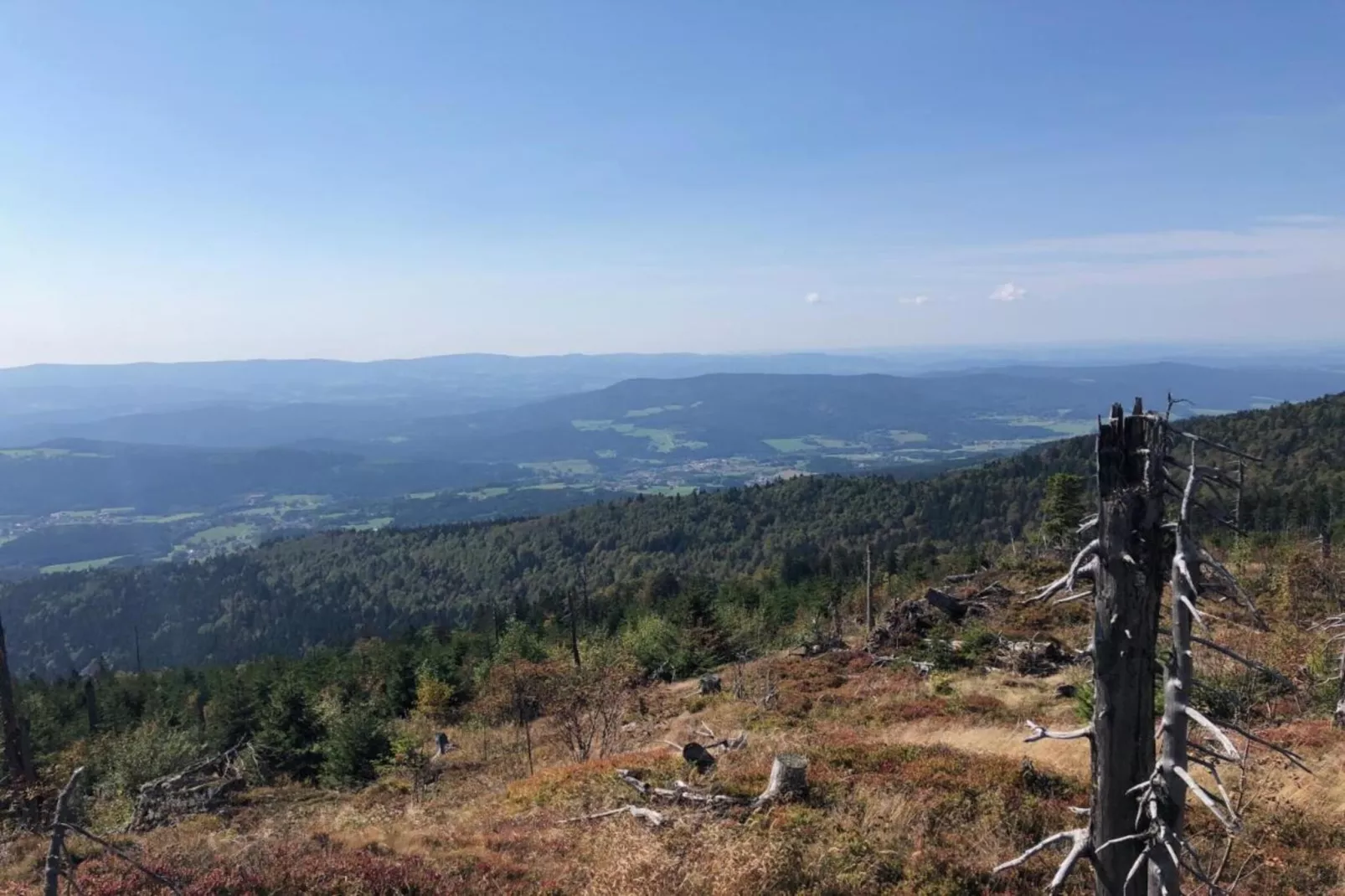 Finkenstube-Areas within 20km in summer