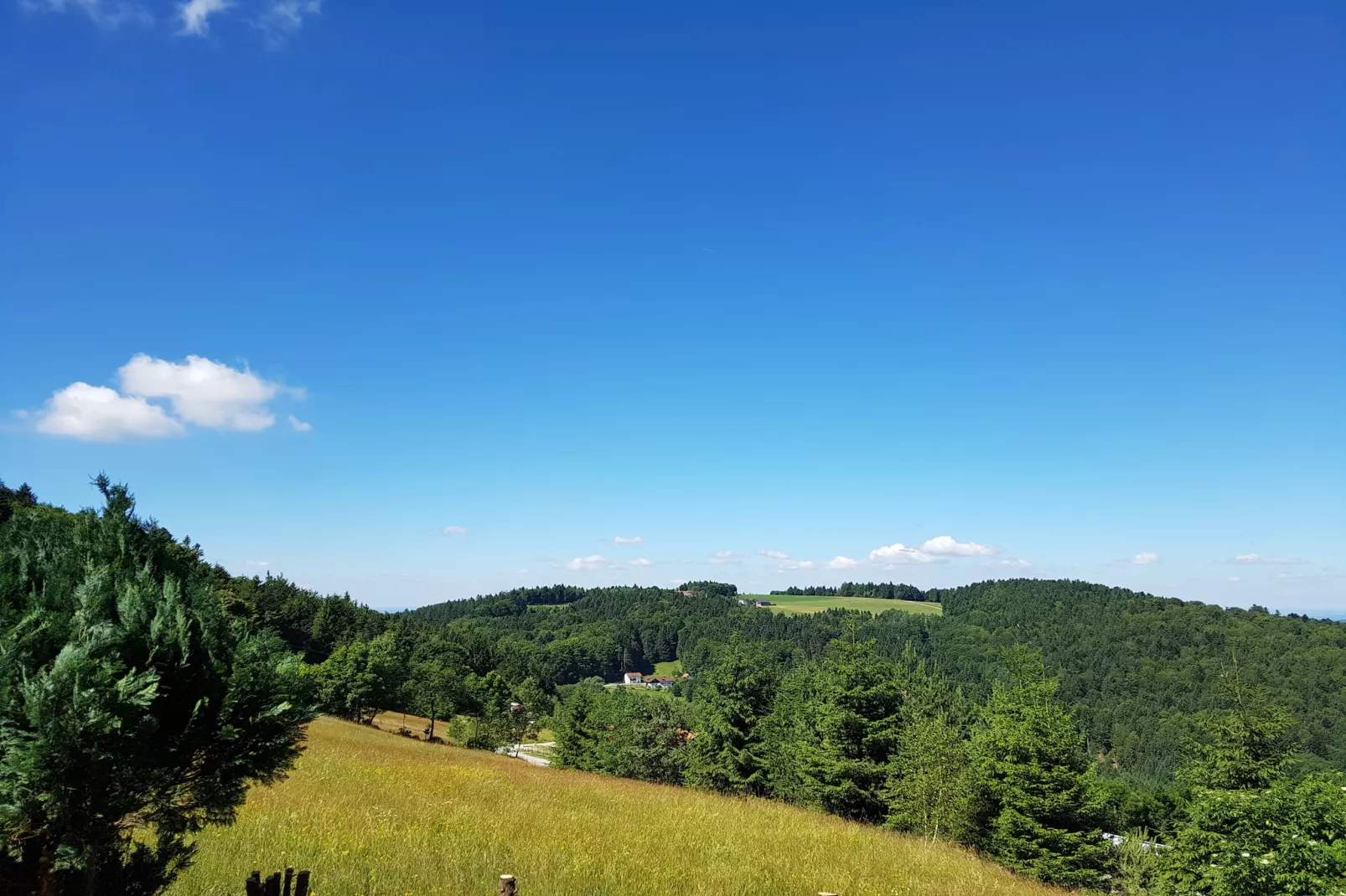 Talblick-View in summer