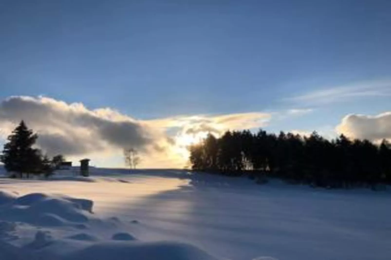 Sonnenwald-Area within 20km in winter