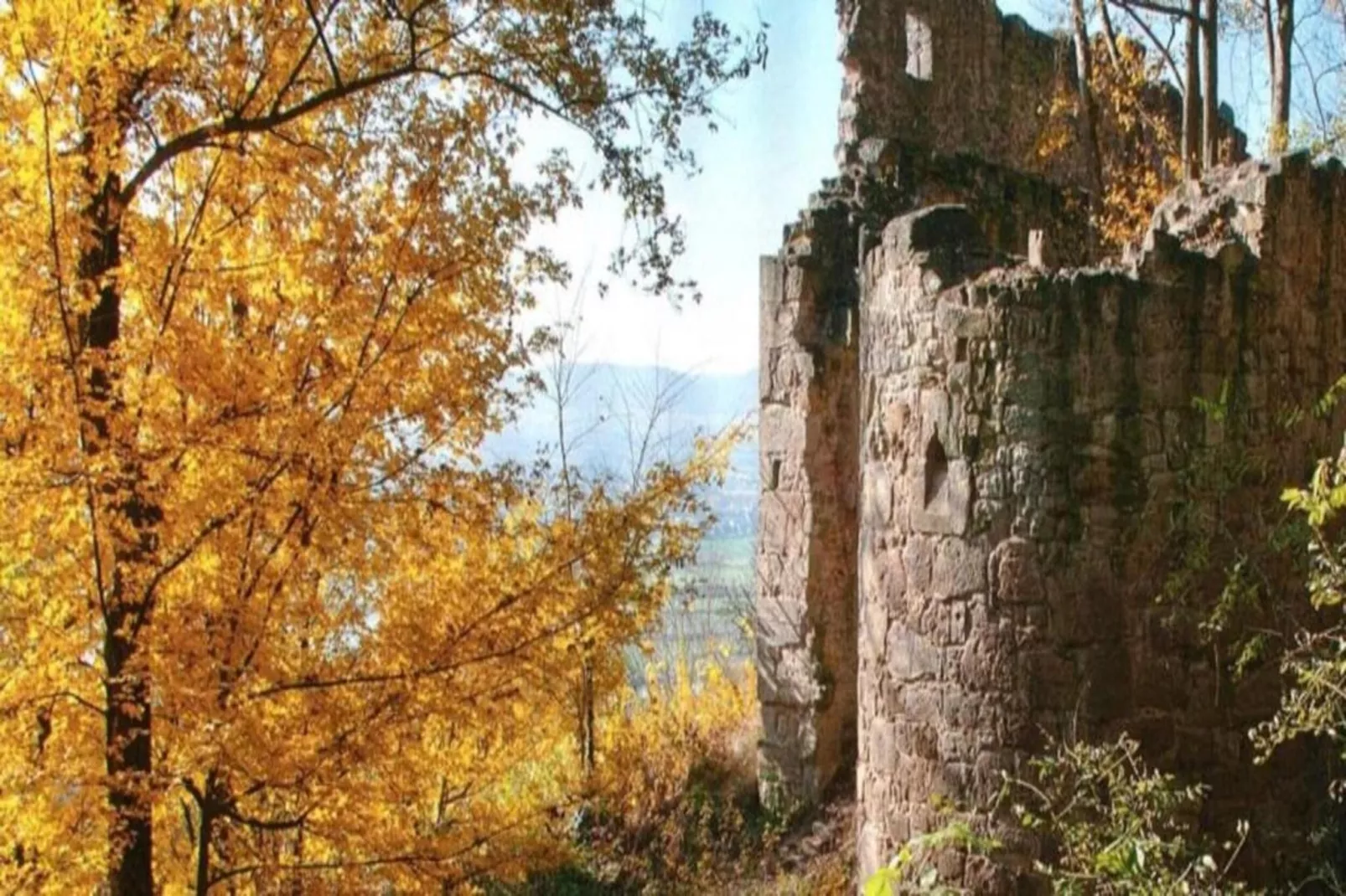 Wilder Wein-Areas within 20km in summer