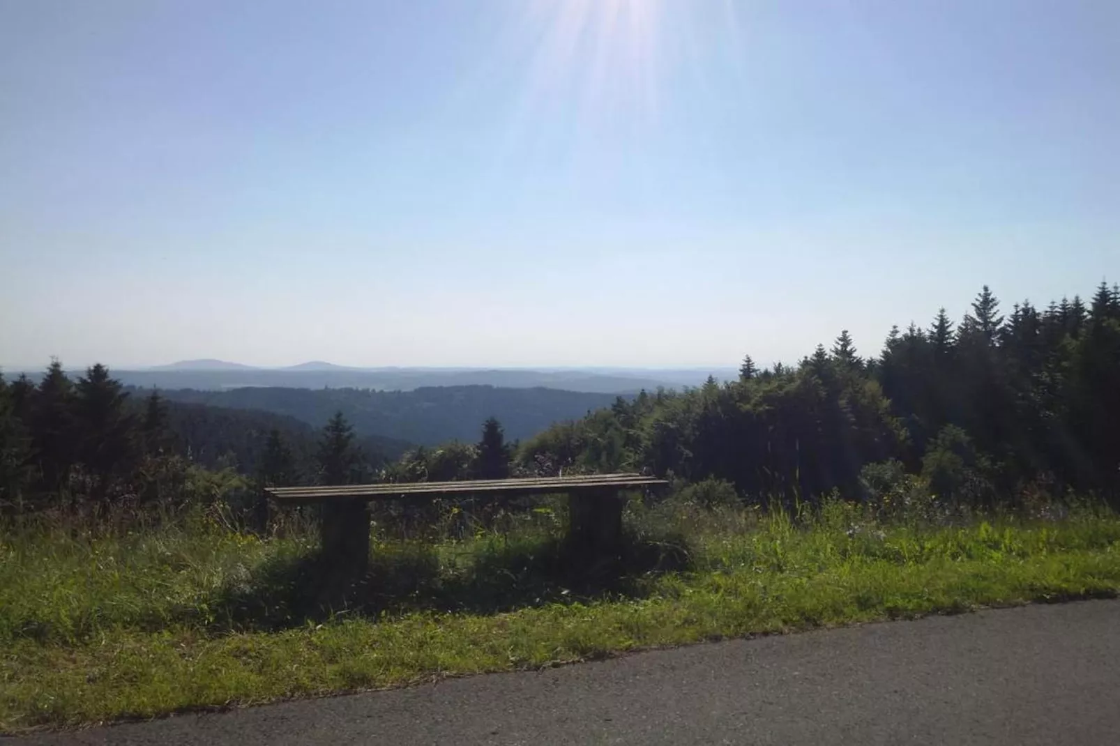 Waldblick-Gebiete Sommer 20 km