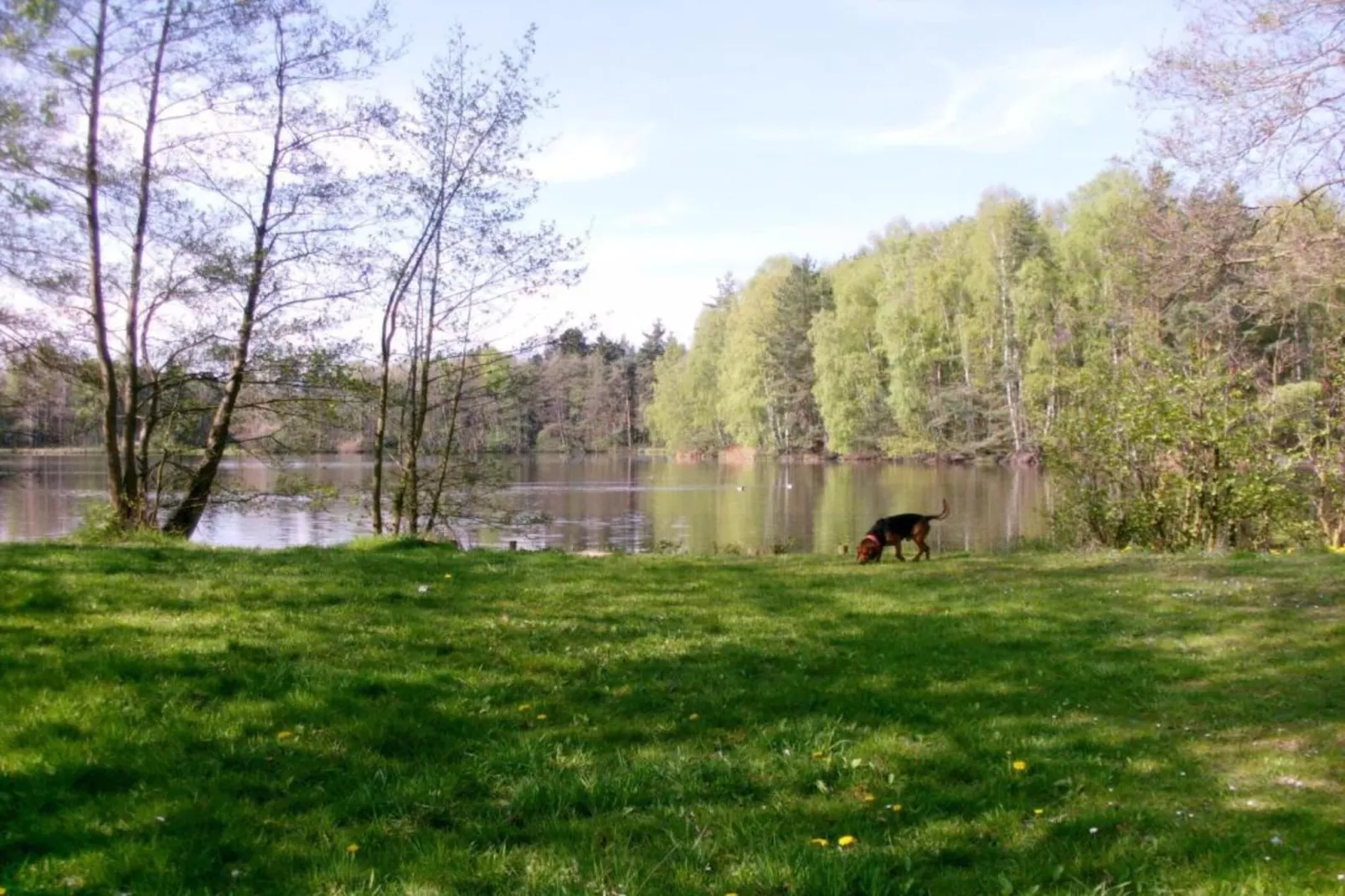 Gehren-Areas within 5km in summer