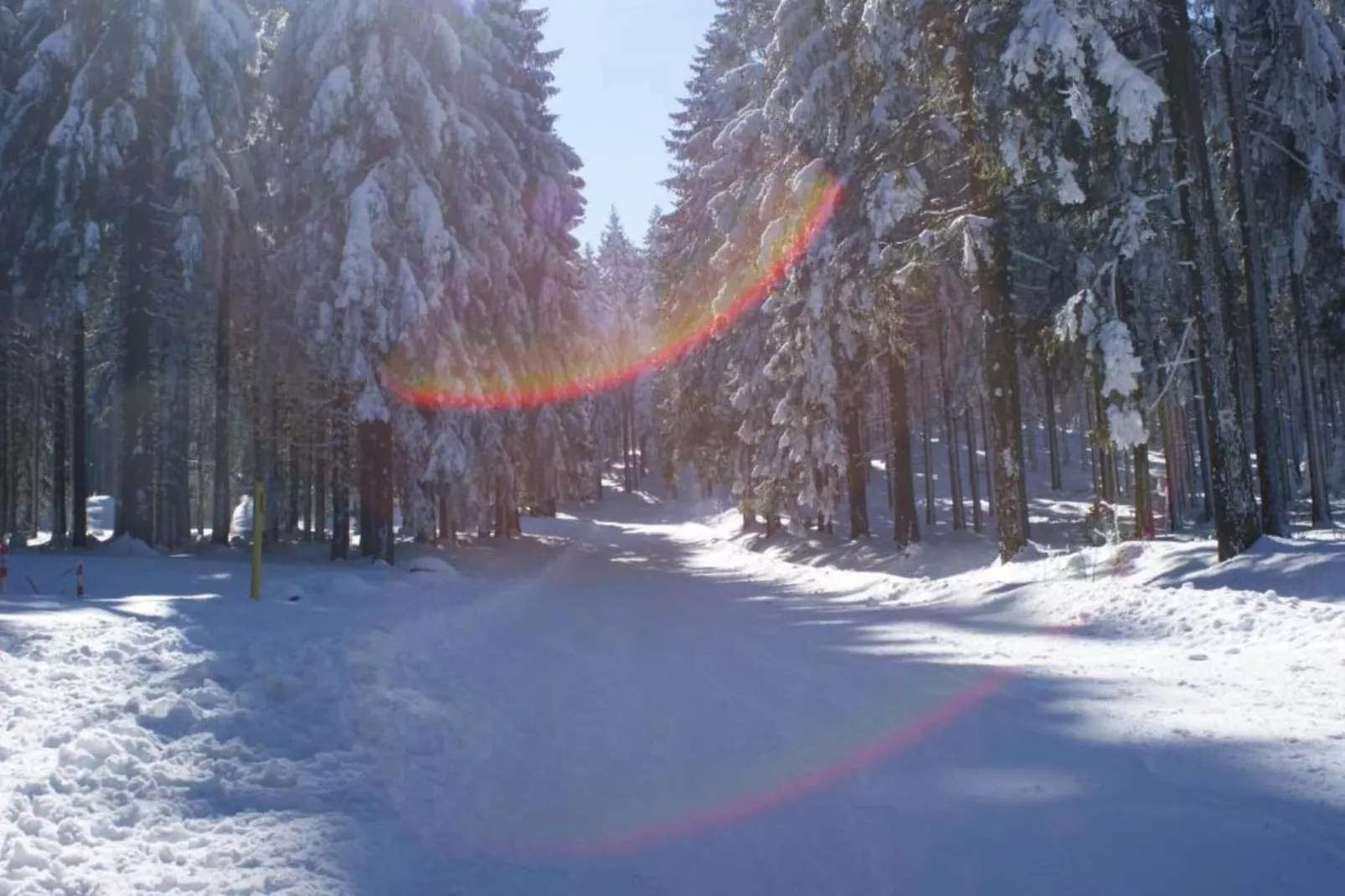 Goldisthal-Area within 20km in winter
