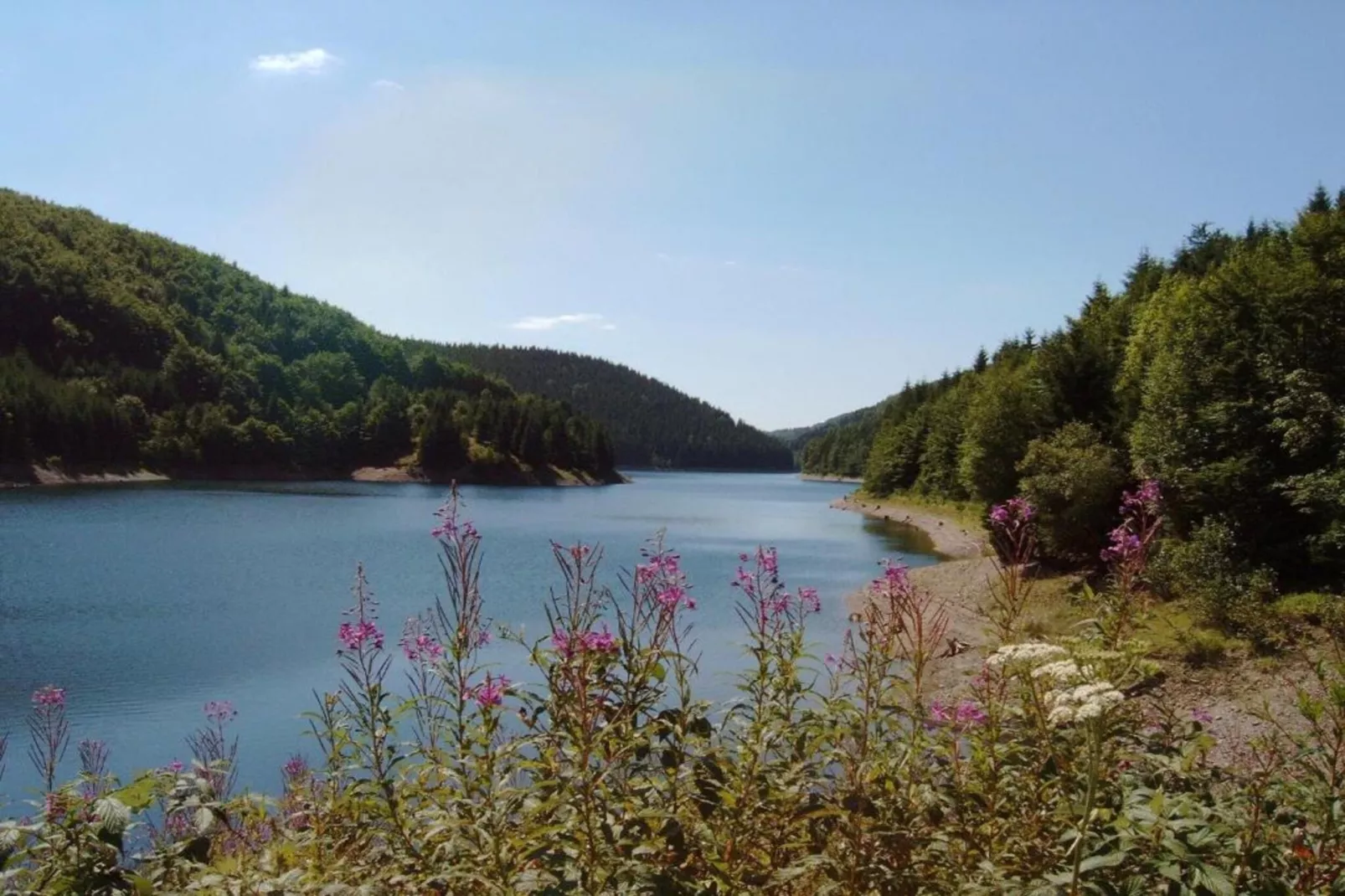 Thüringer Wald-Areas within 20km in summer