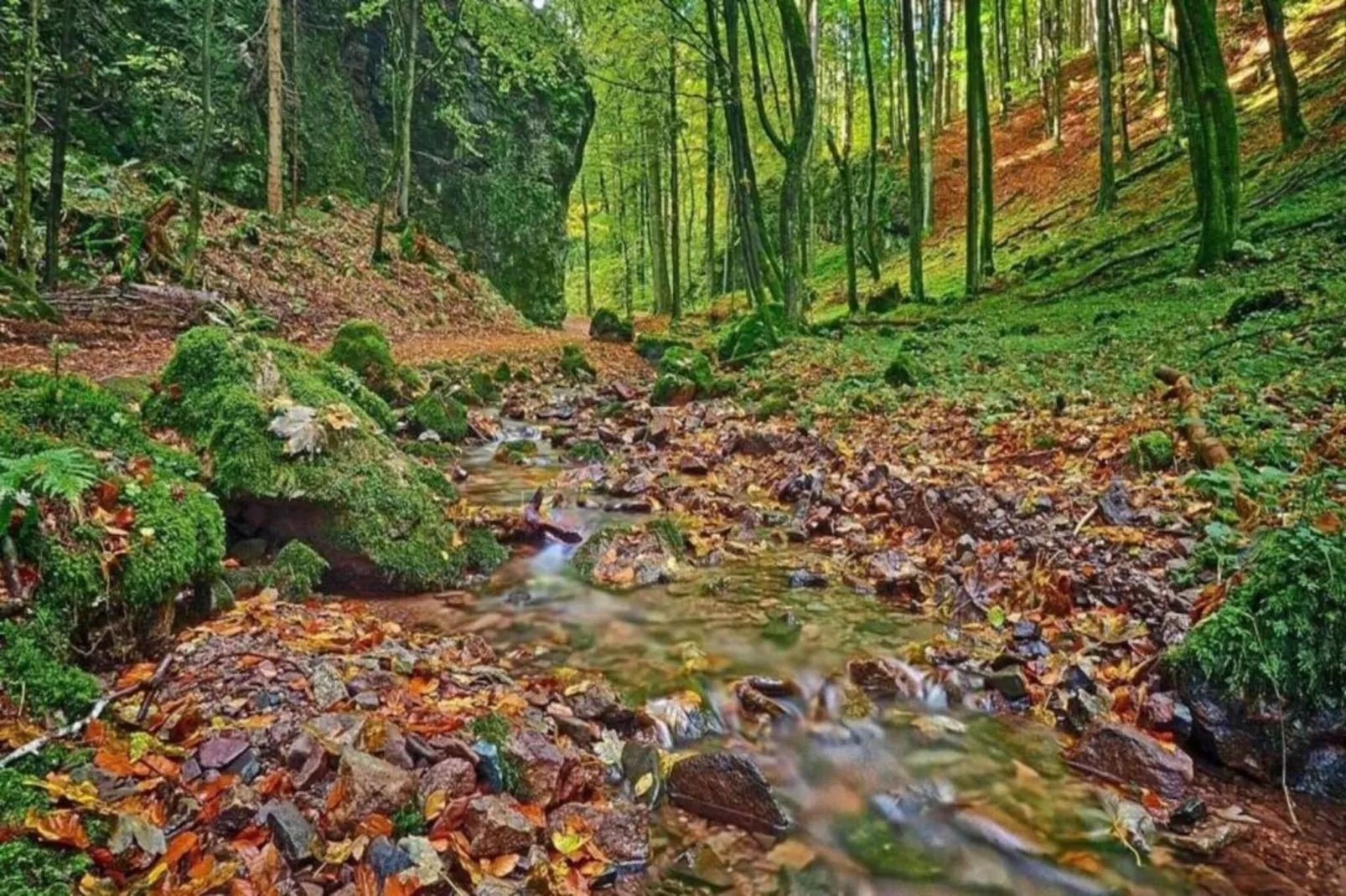 Sonnenschein-Areas within 20km in summer