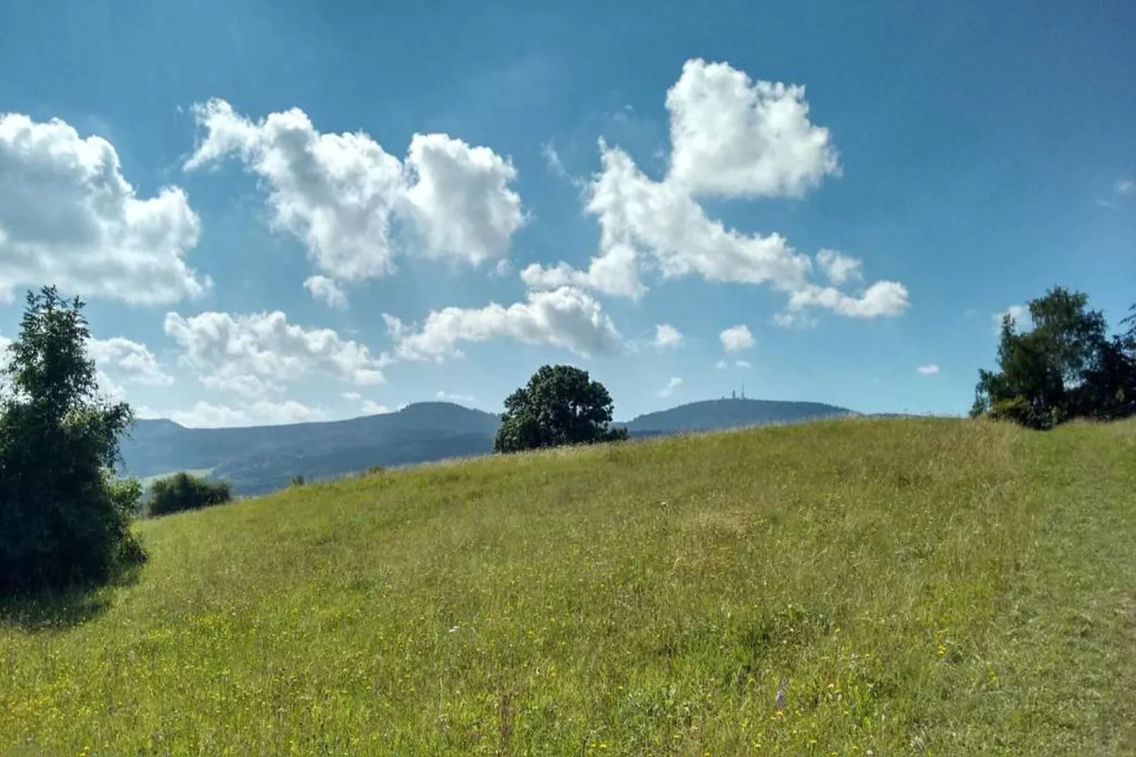 Thüringer Wald-Gebiete Sommer 20 km