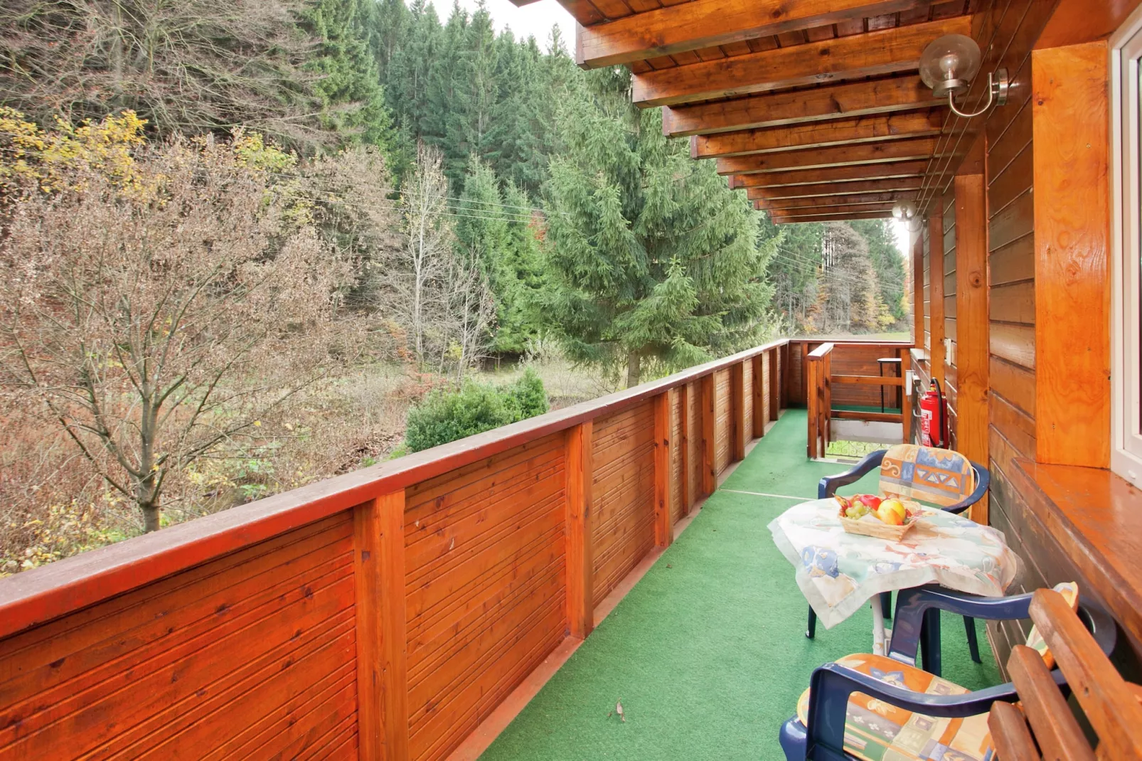 Waldblick-Terrasse/Balkon