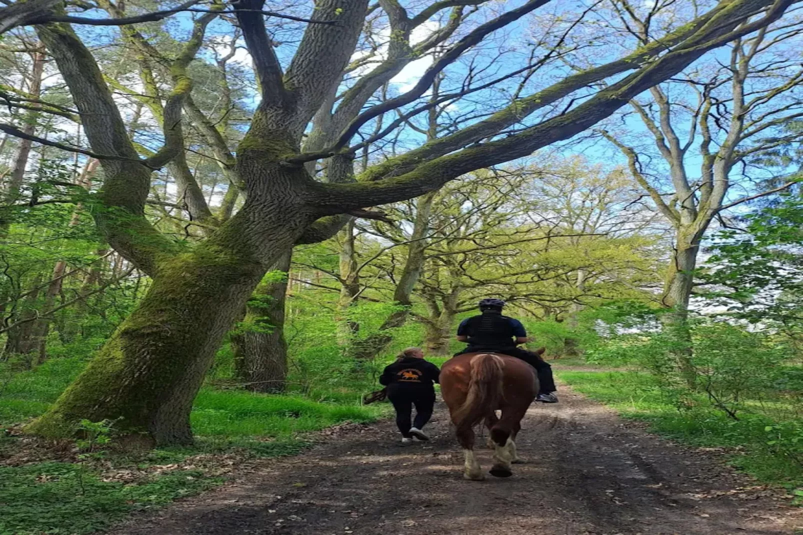 Chalet - 2 Personen-Areas within 1km in summer