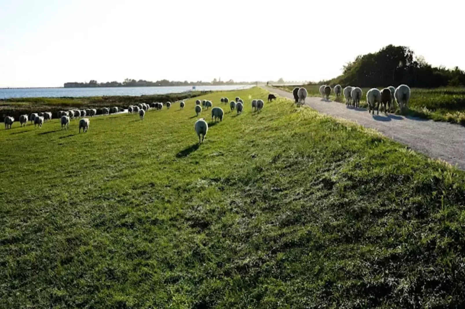 Wohnung A 3 1-2 Personen-Areas within 5km in summer