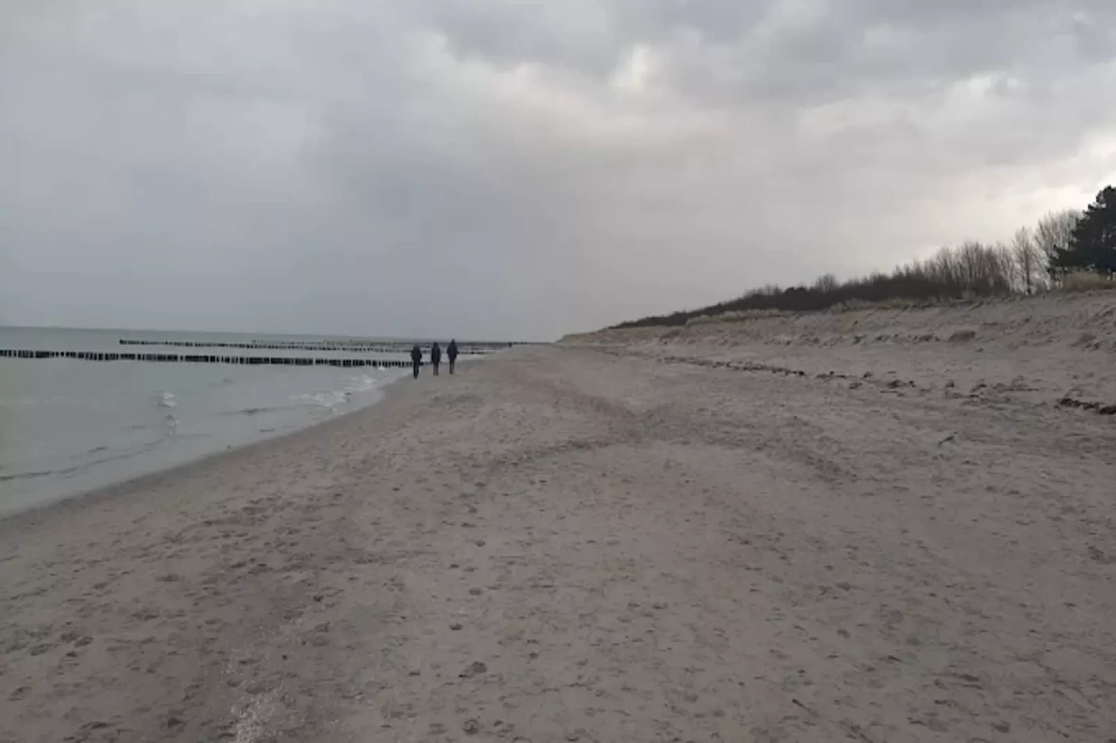 Ferienwohnung Zingst-Buhnen 24-Areas within 1km in summer