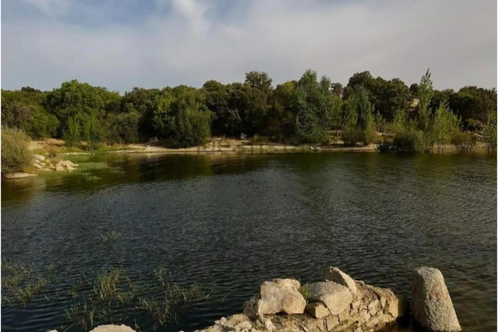 Gran jardín piscina y Spa - Galapagar II-Areas summer 20km