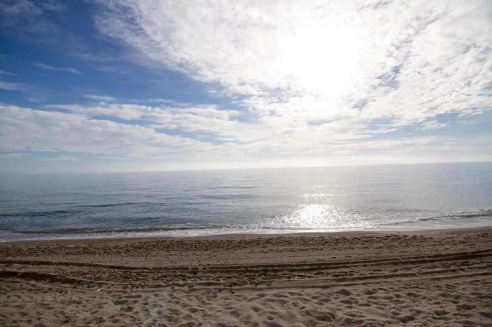 Los Olivos-Areas within 5km in summer