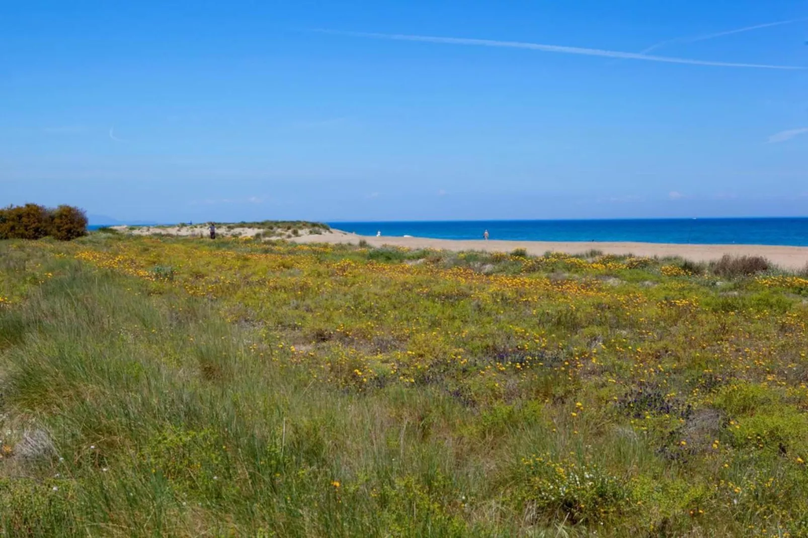 Cascadas de la Marina-Areas within 20km in summer