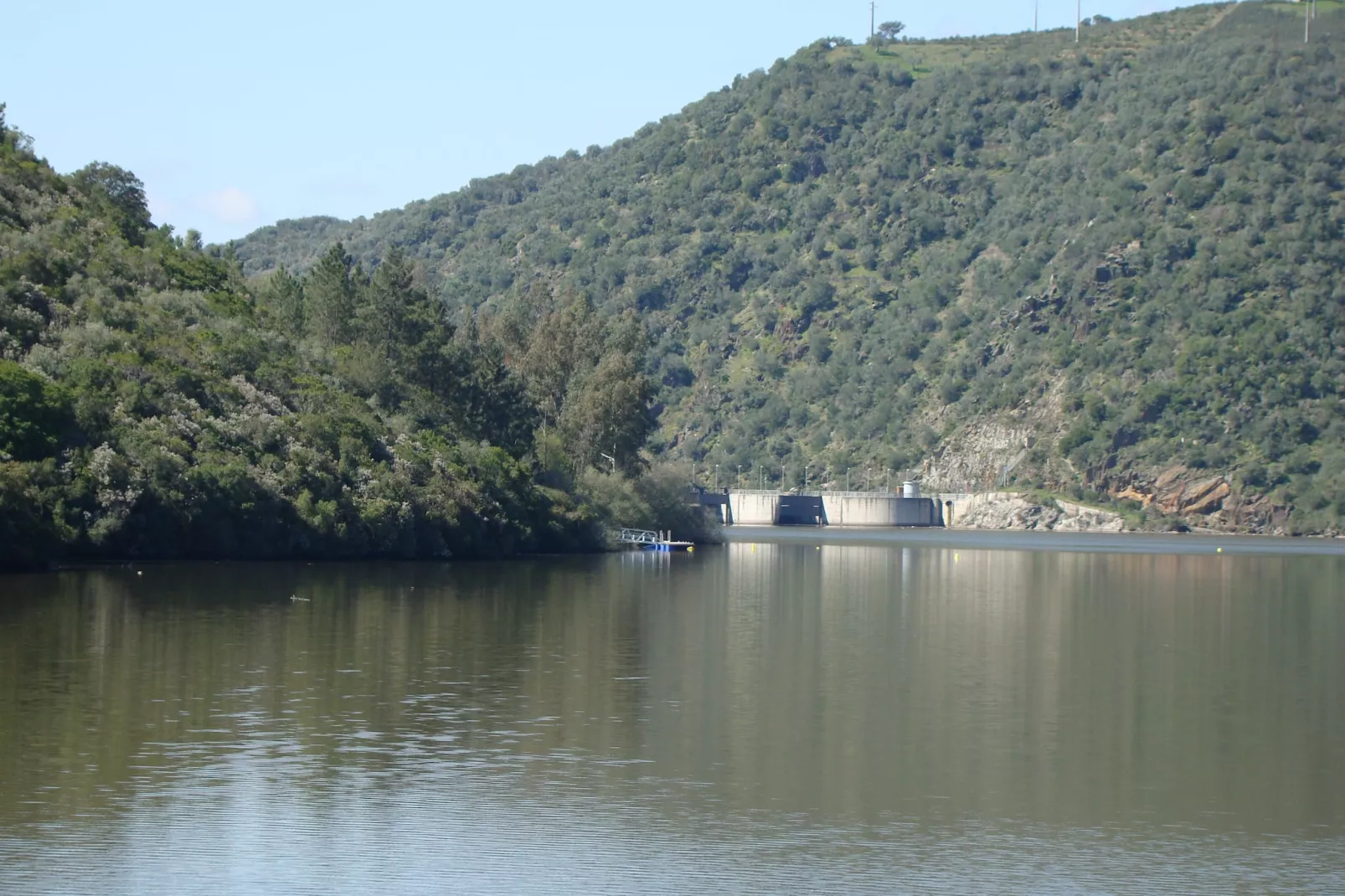 Malvarrosa-Areas within 5km in summer