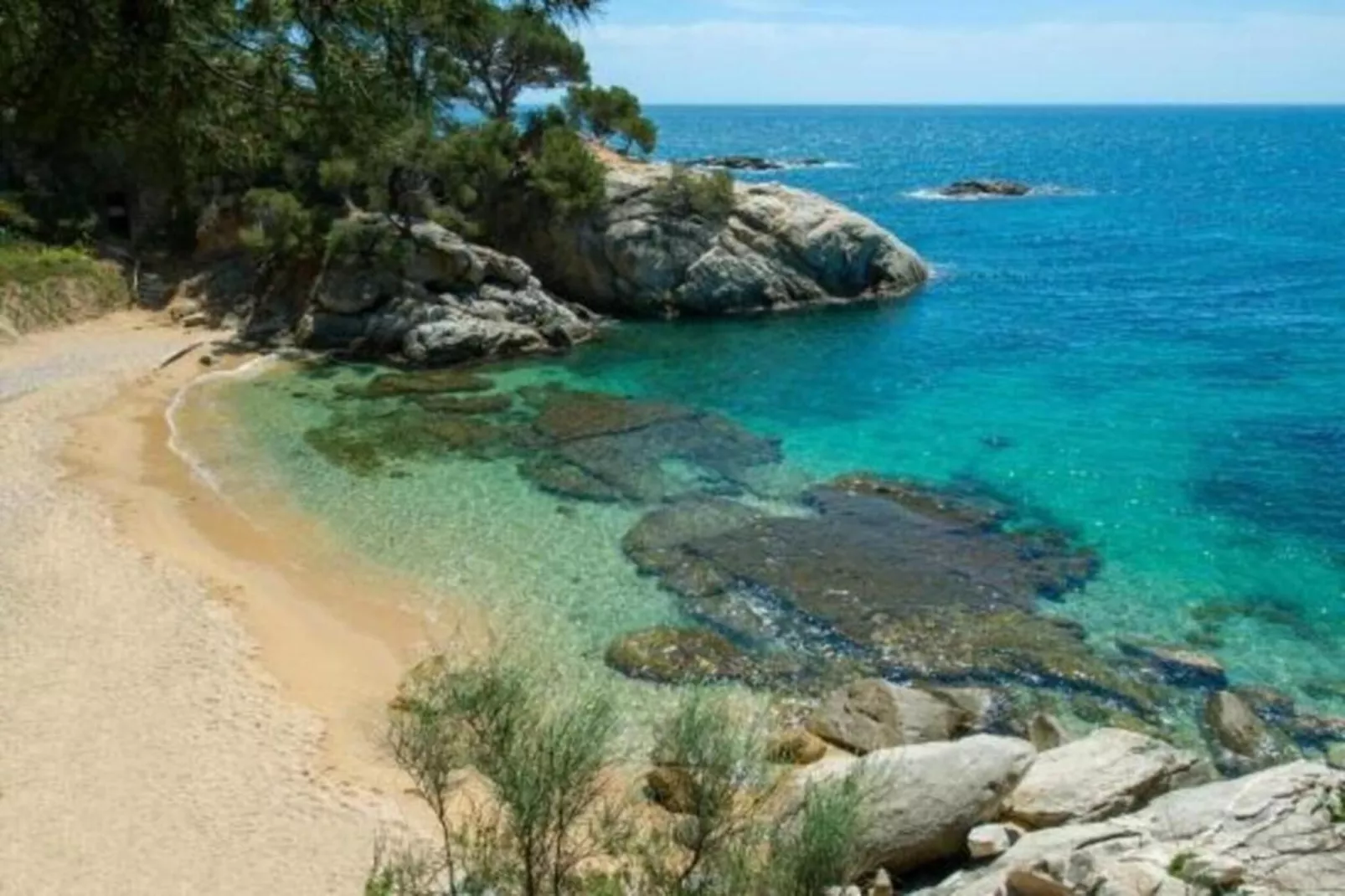 Les Corts de CAL VIRREI-Areas within 20km in summer