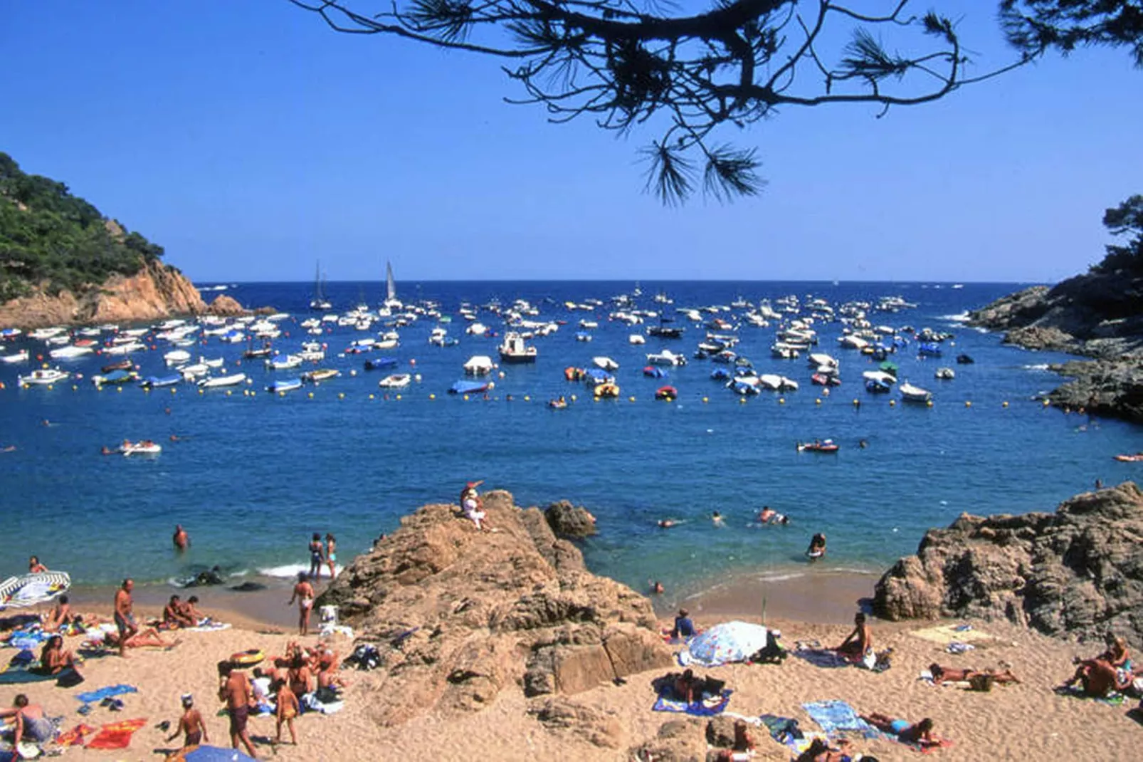 Can Vives-Areas within 20km in summer