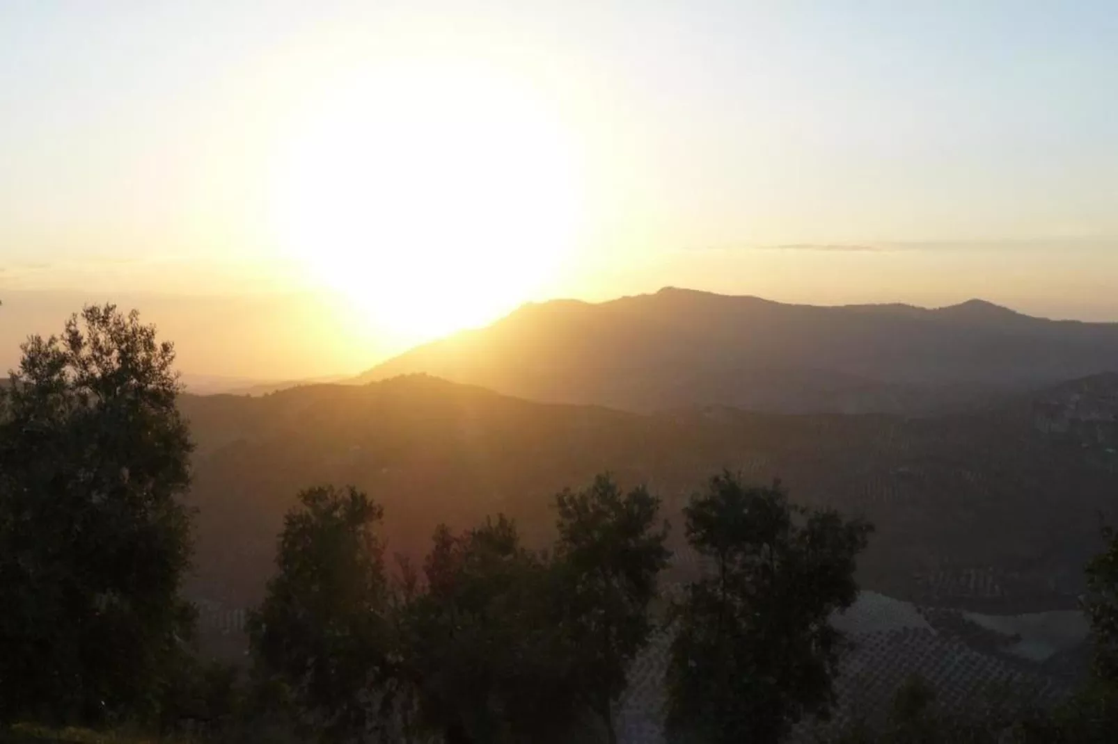 El Molino-Areas within 20km in summer