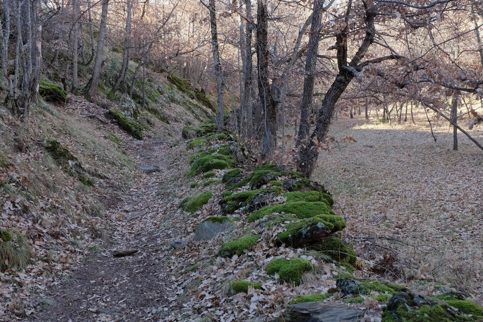Cobert d'en Piarró-Gebiete Sommer 5 km